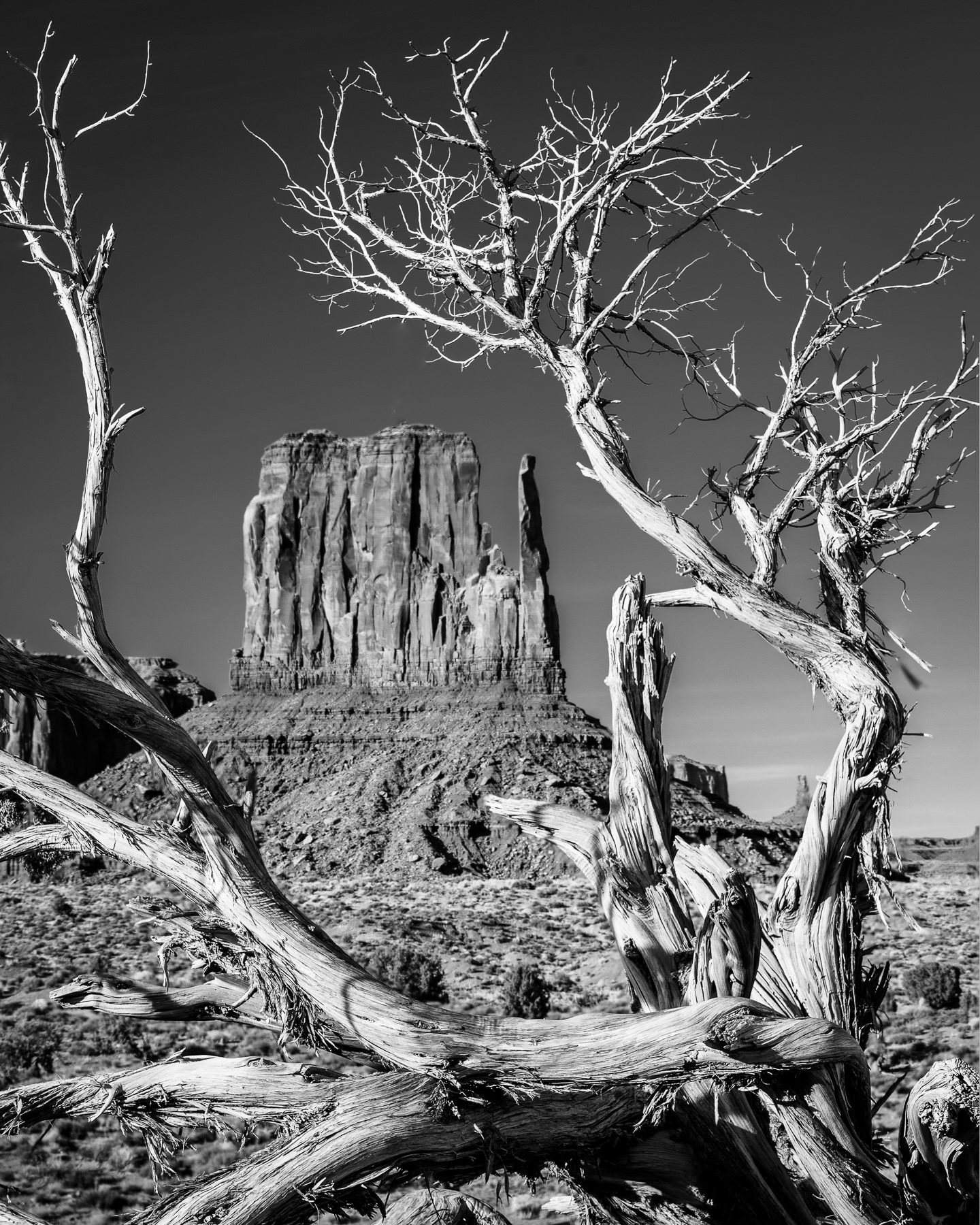 West Mitten
