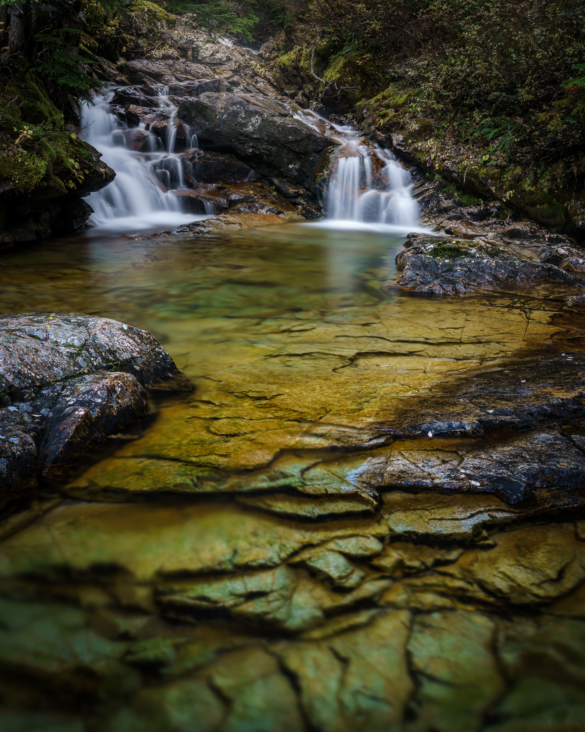 Commonwealth Creek