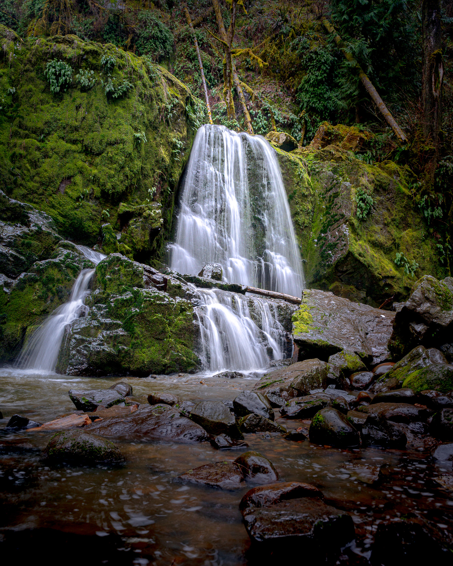 Lower Mashel Creek Falls