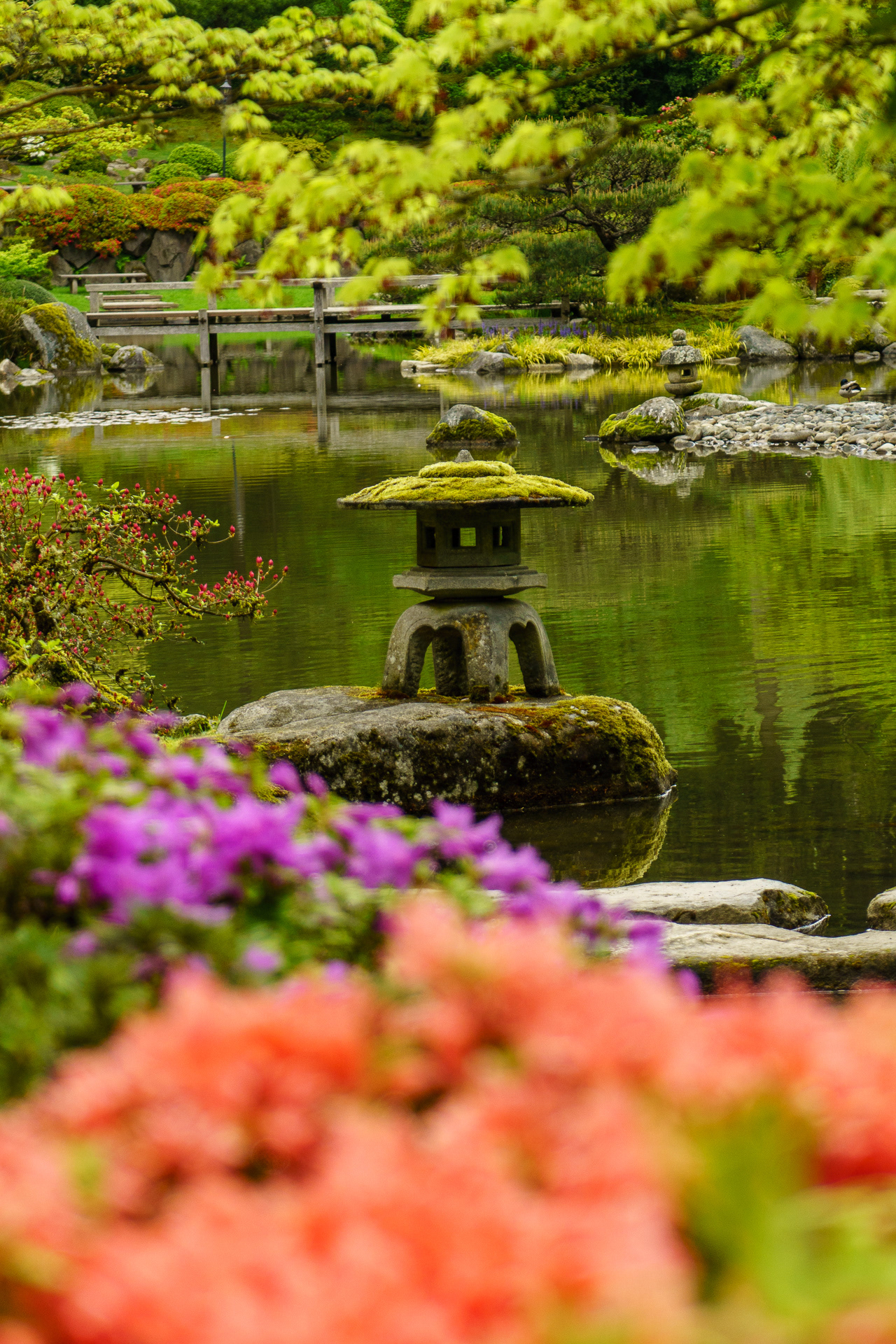 Japanese Garden