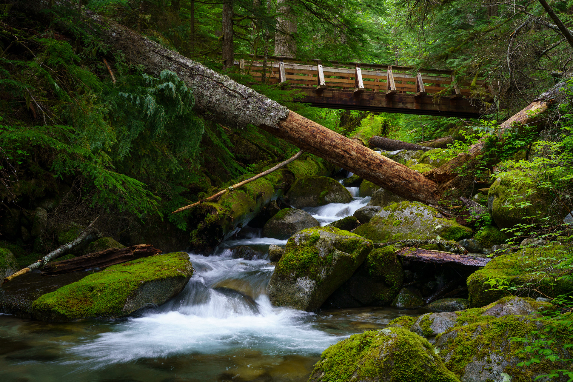 Asahel Curtis Nature Trail