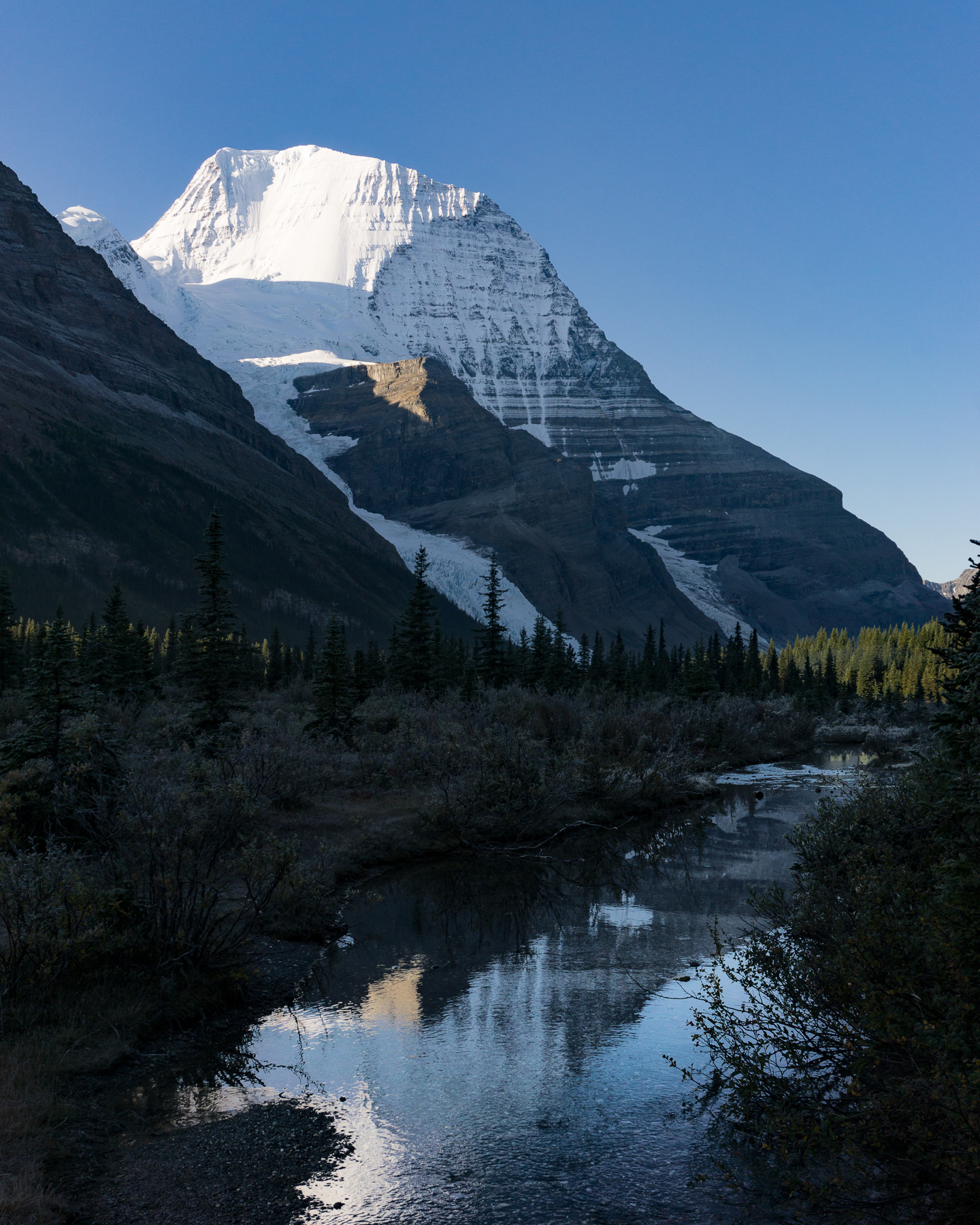 Mt. Robson