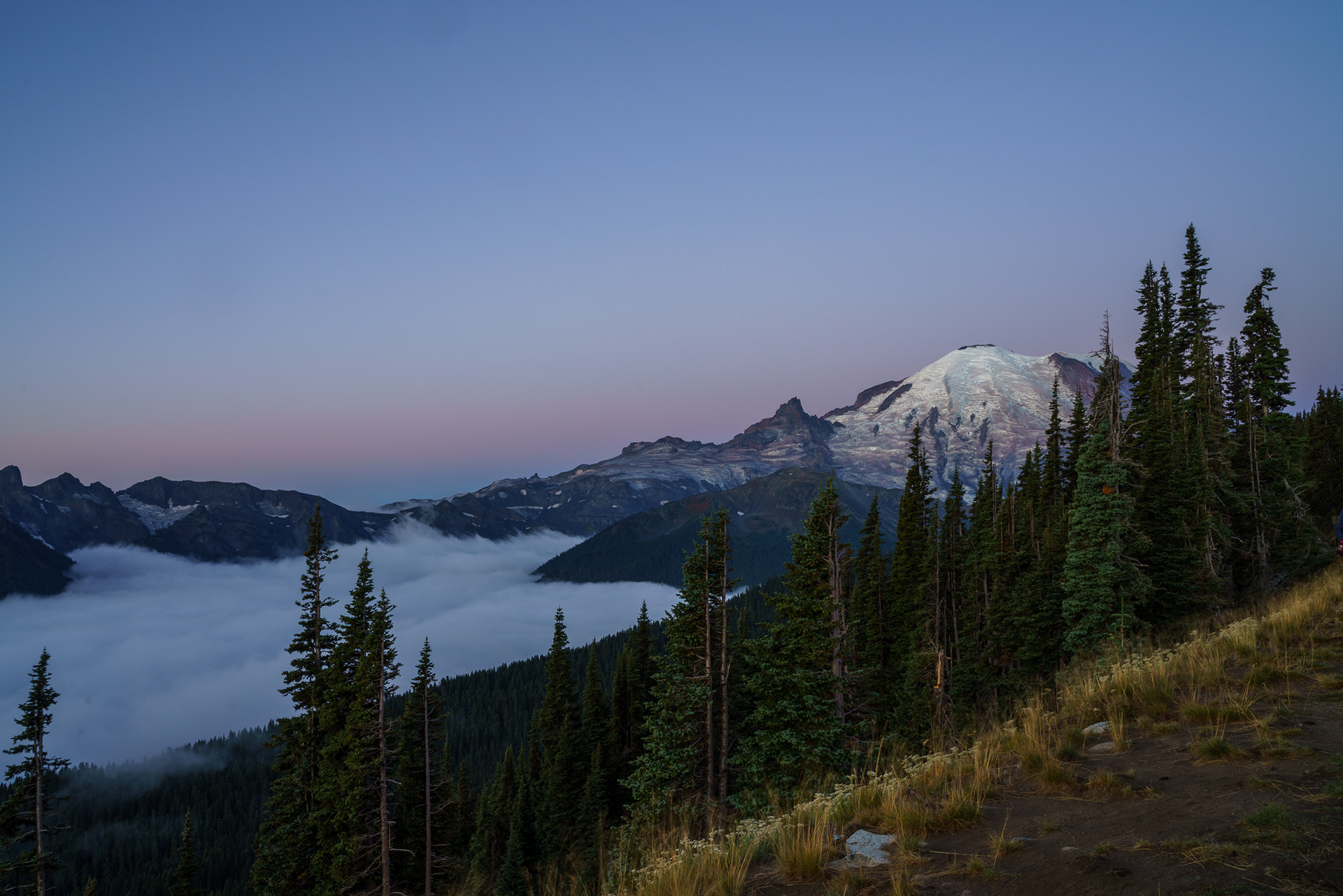 Mt. Rainier