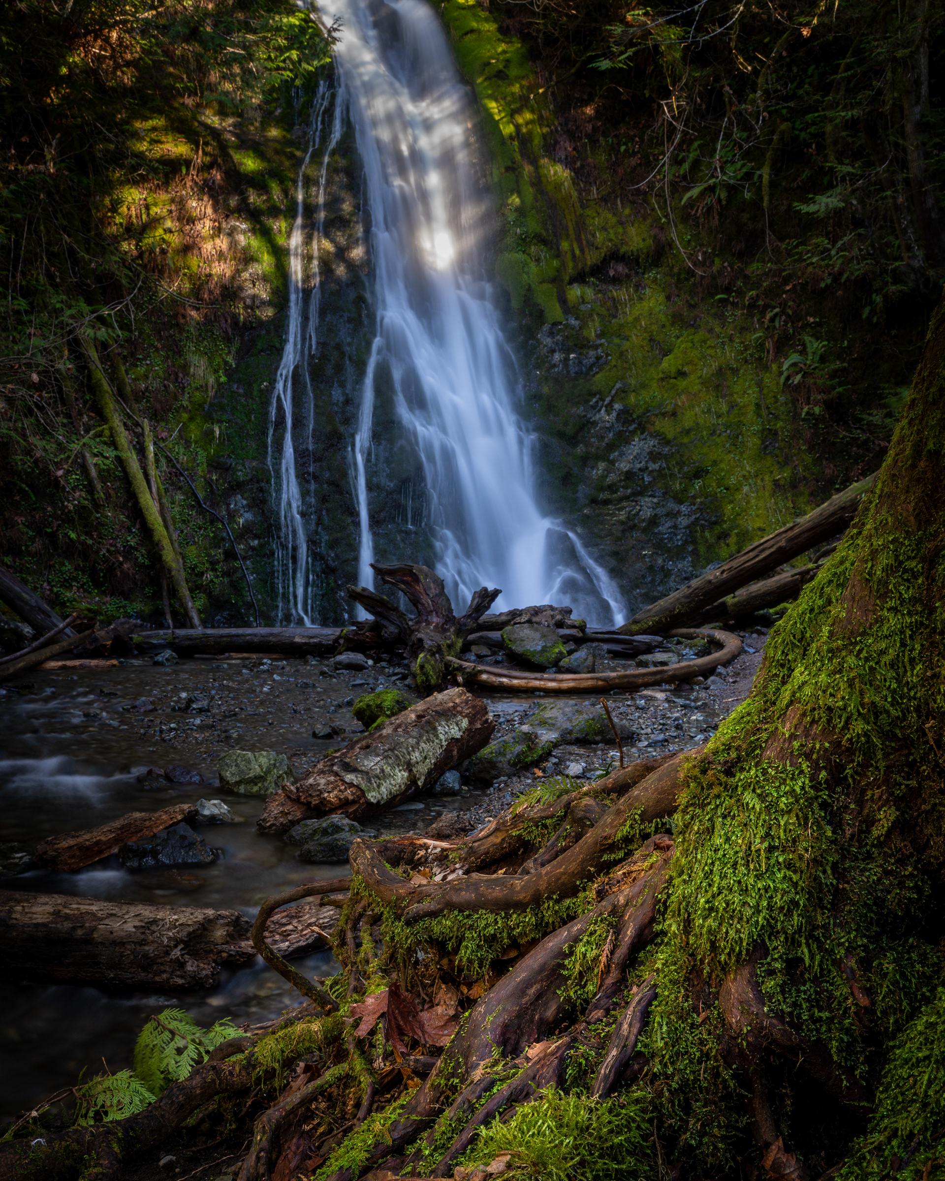 Madison Creek Falls