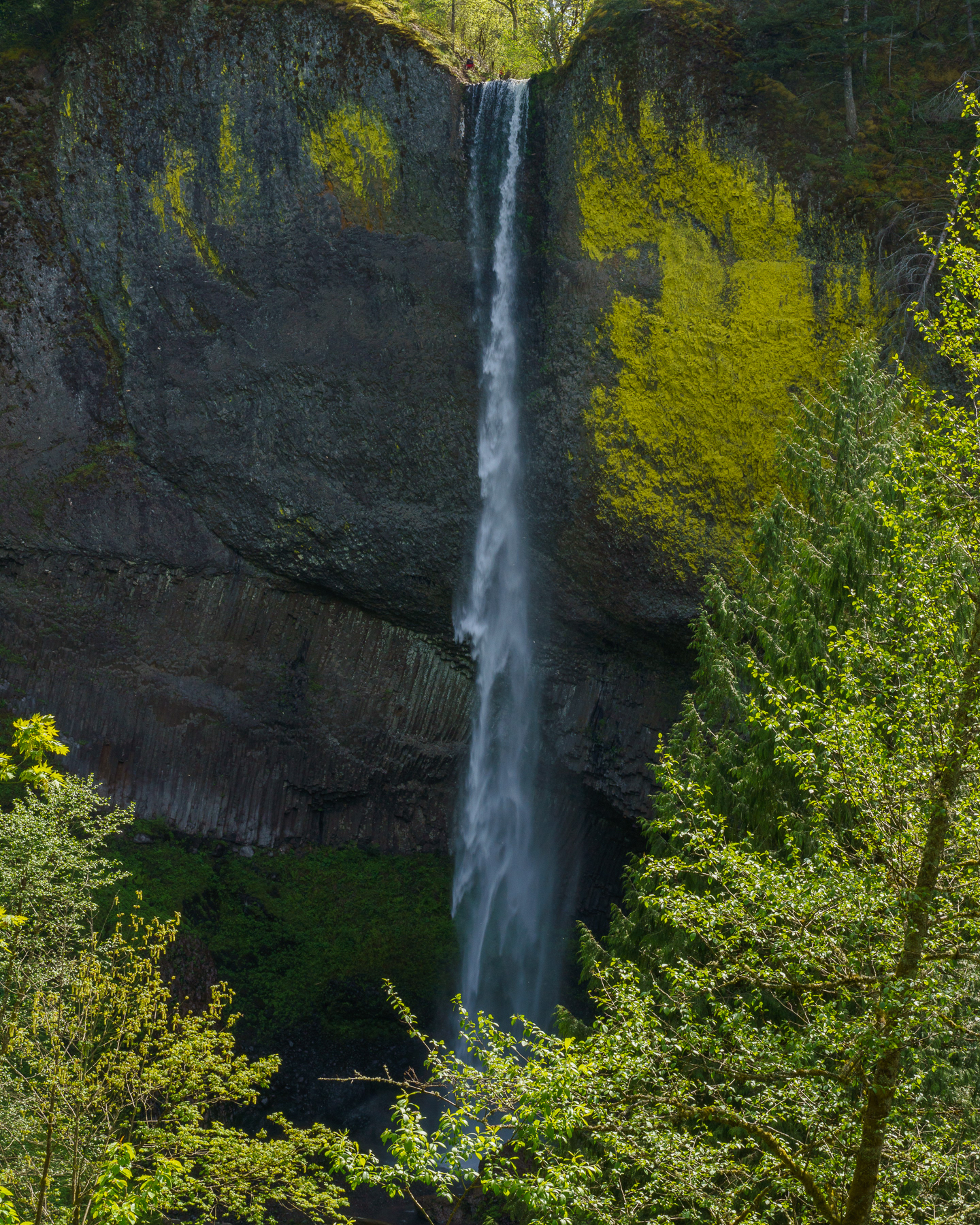 Latourell Falls