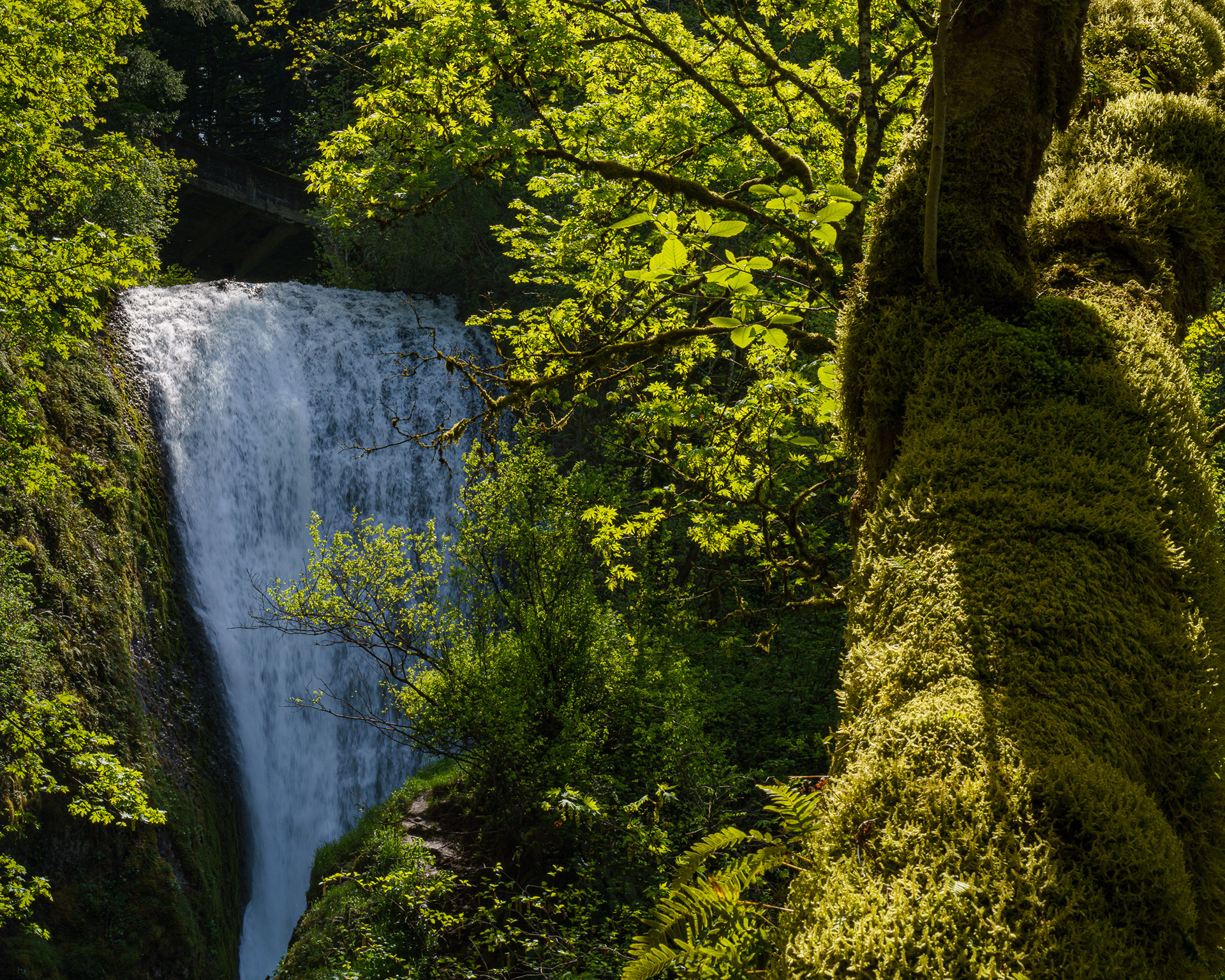 Bridal Veil Falls