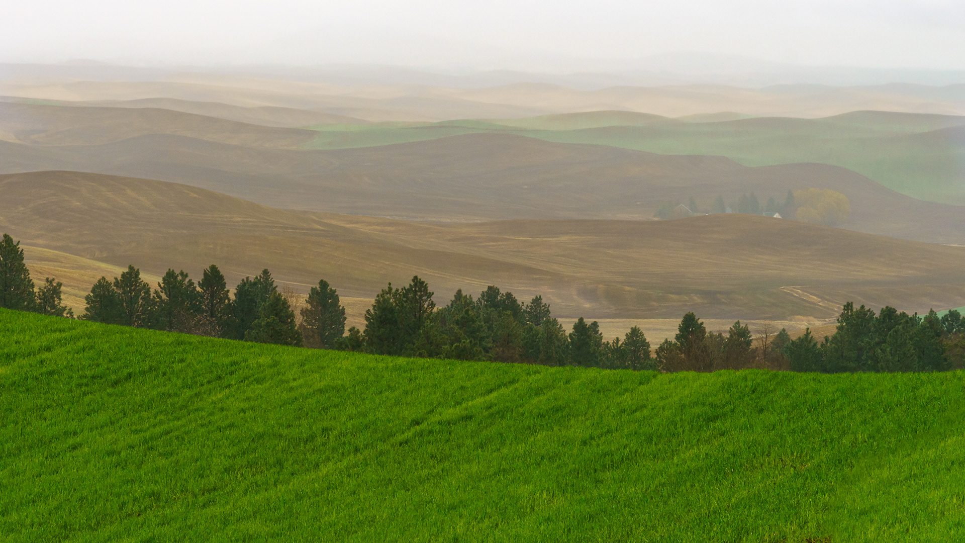 Palouse