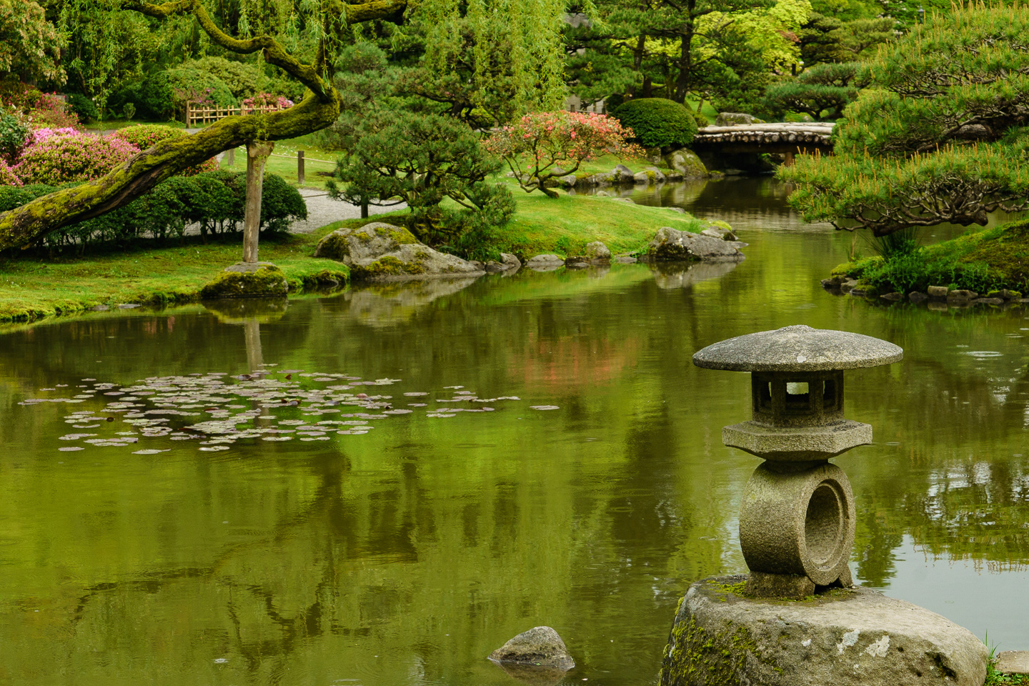 Japanese Garden