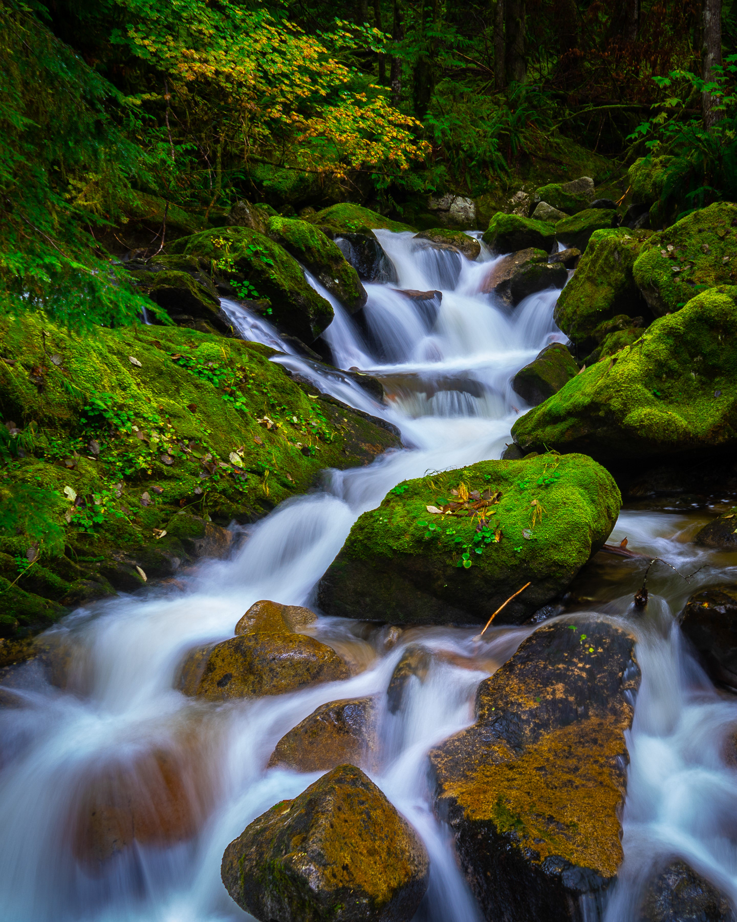 Rainy Creek Falls