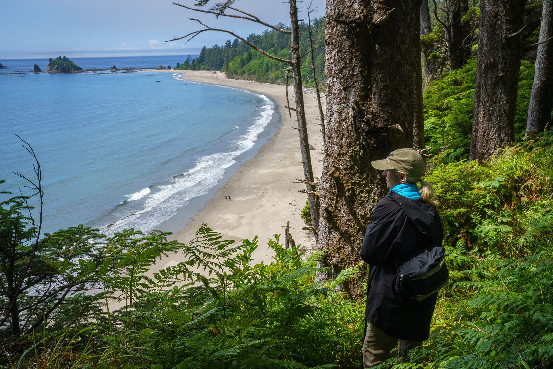 South Coast Trail