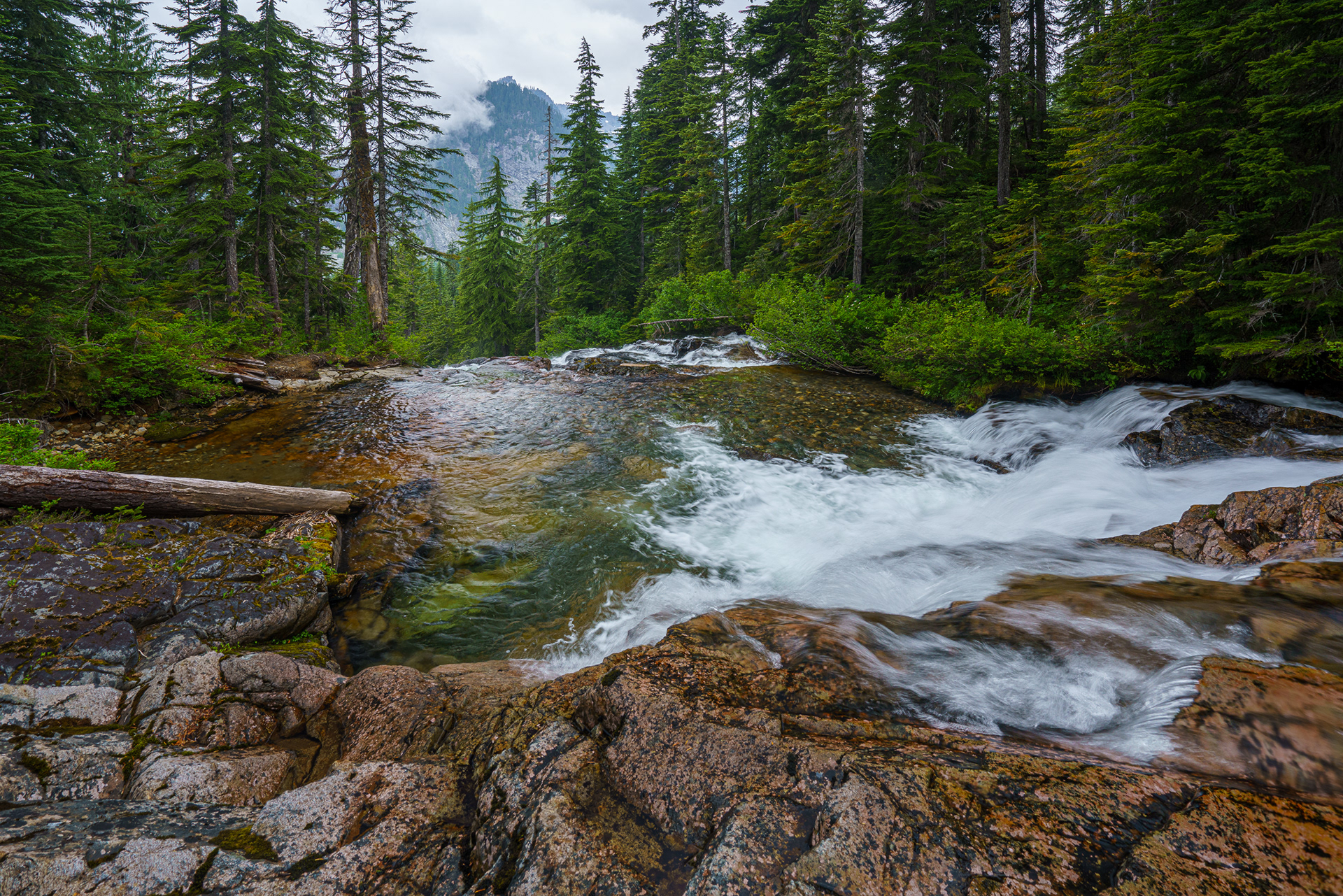 Commonwealth Creek