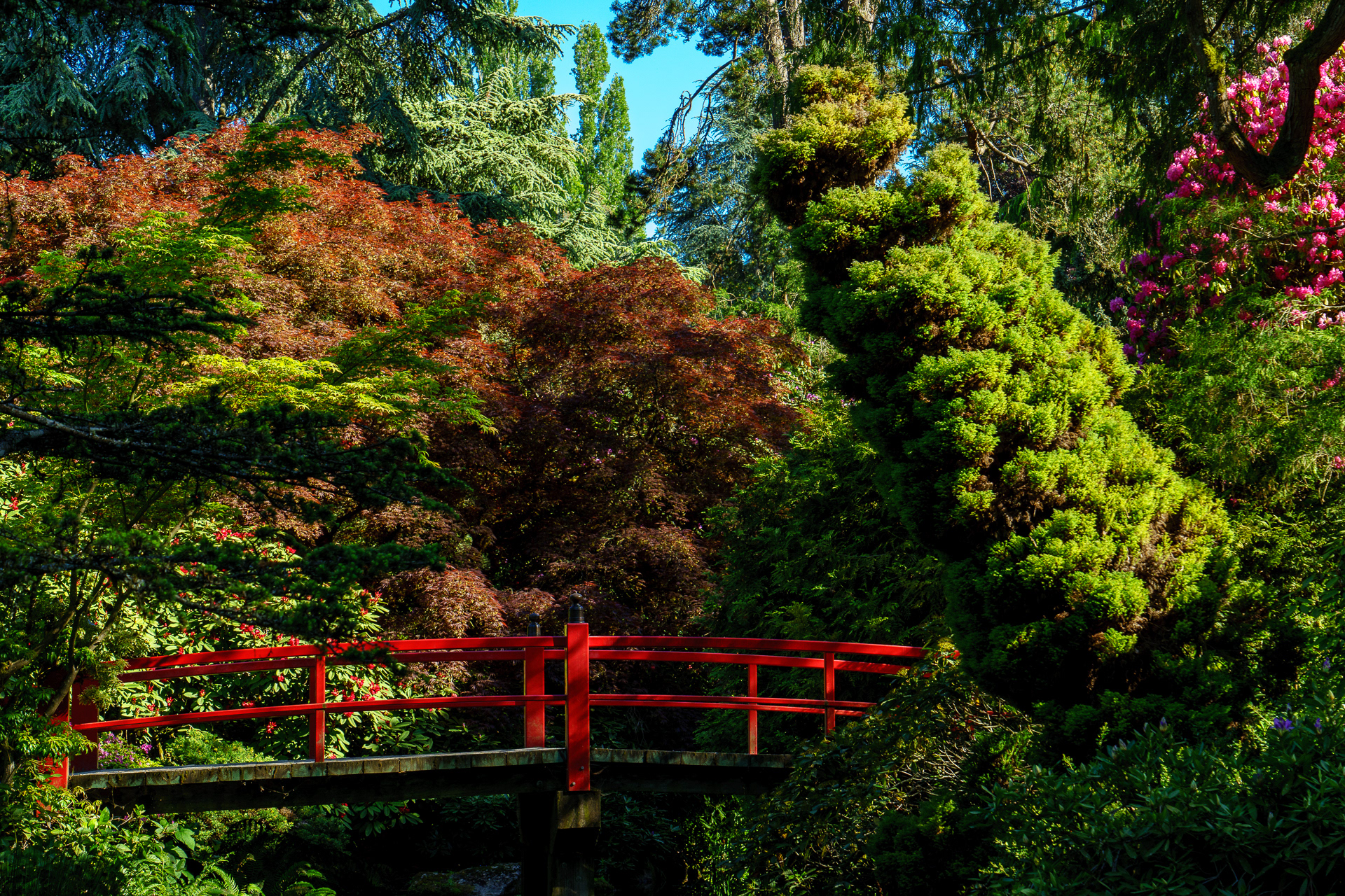 Kuboto Garden