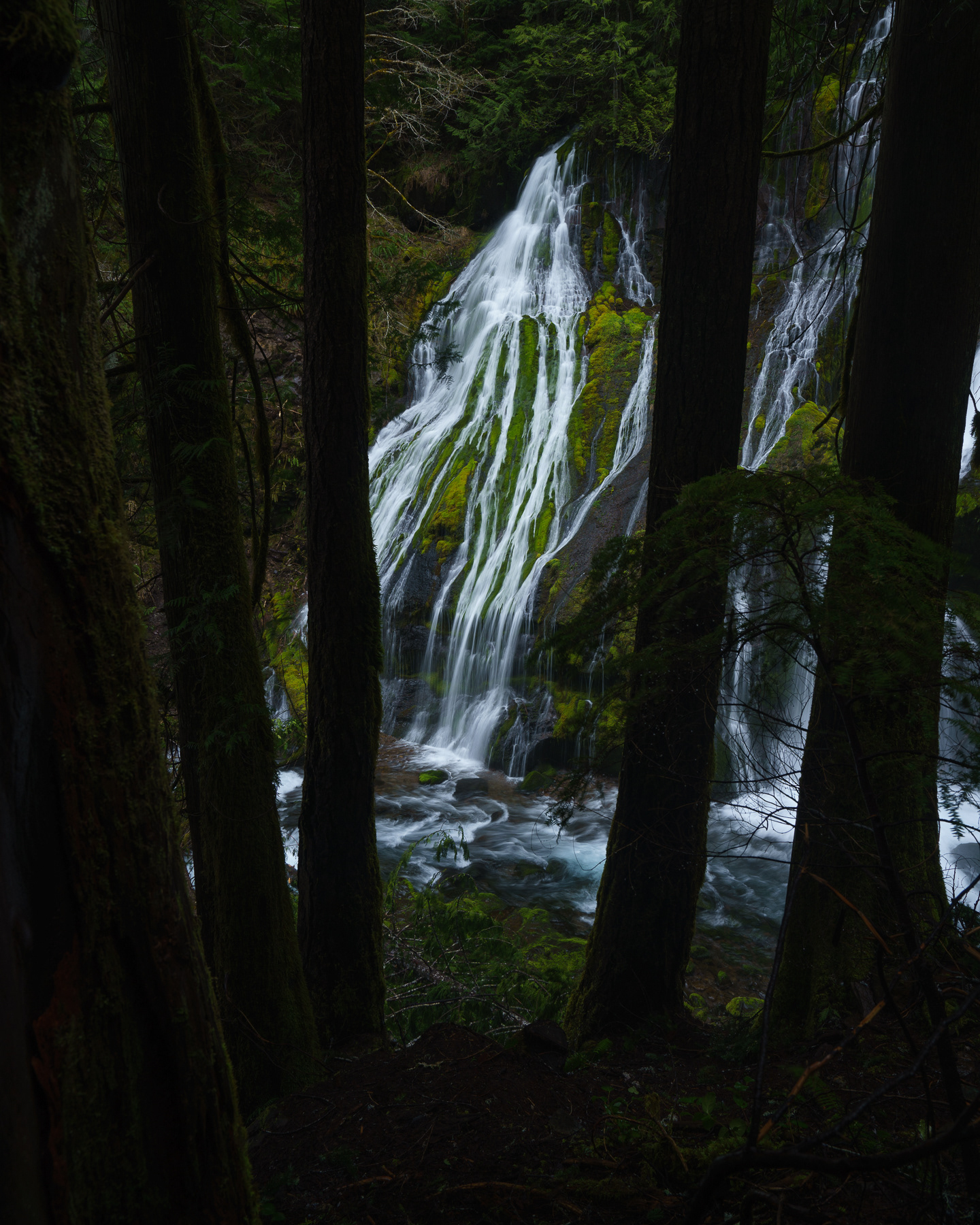 Panther Creek Falls