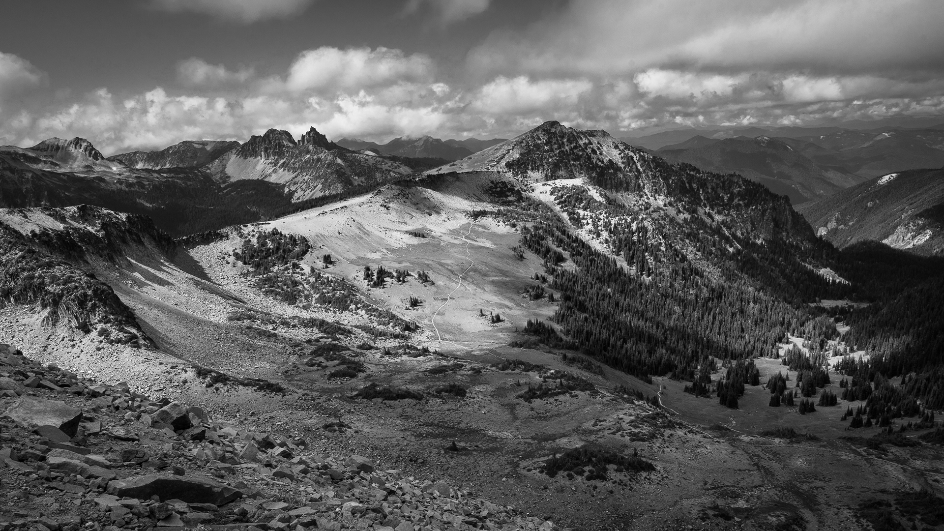 Mount Rainier National Park