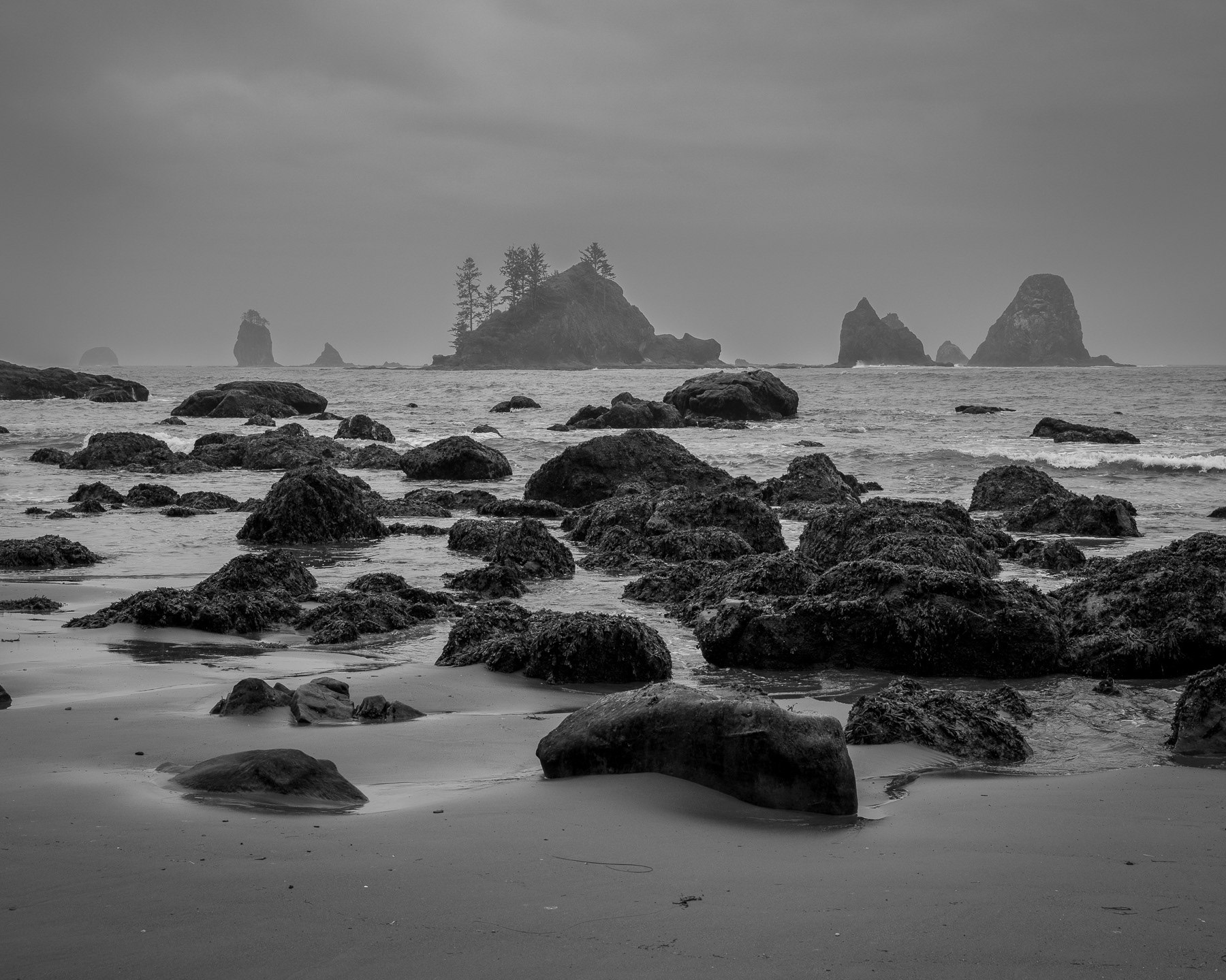 South Coast Trail