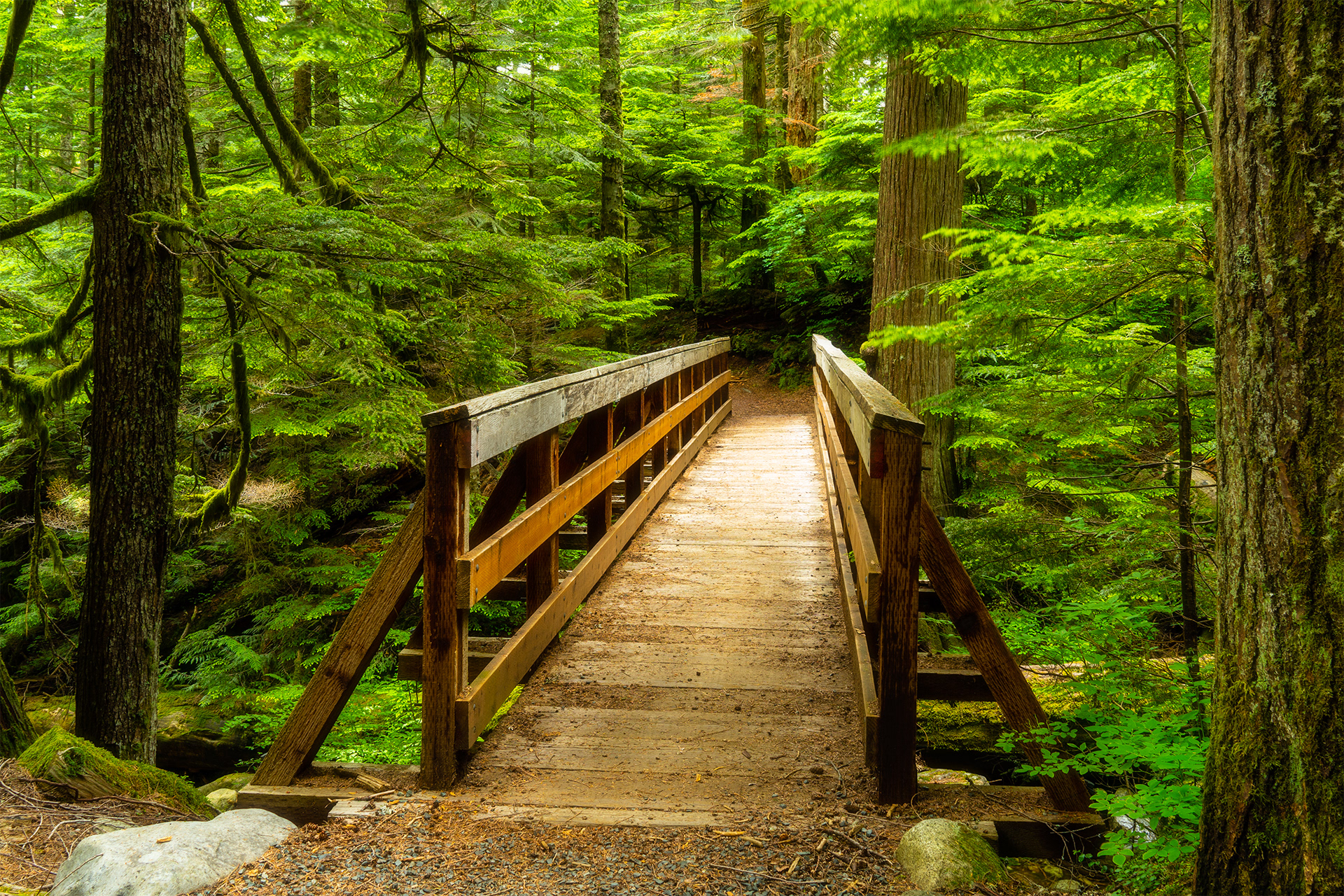 Asahel Curtis Nature Trail