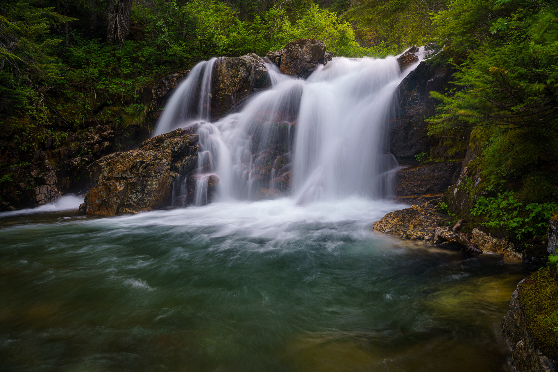 Commonwealth Creek
