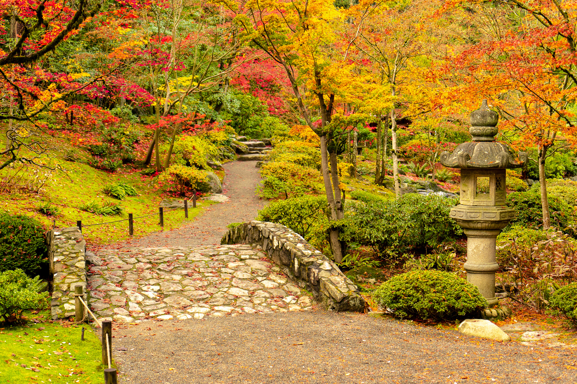 Japanese Garden