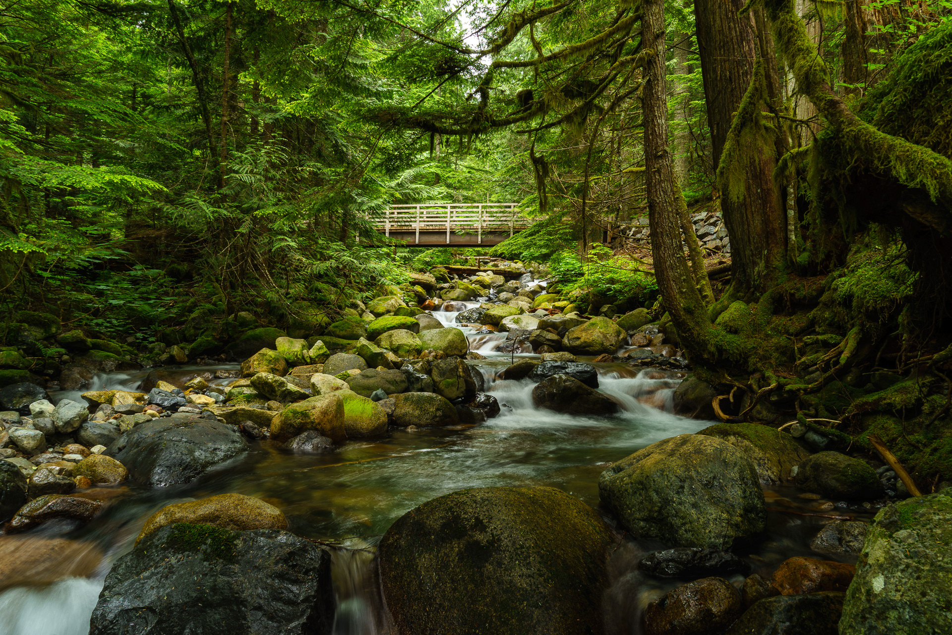Humpback Creek