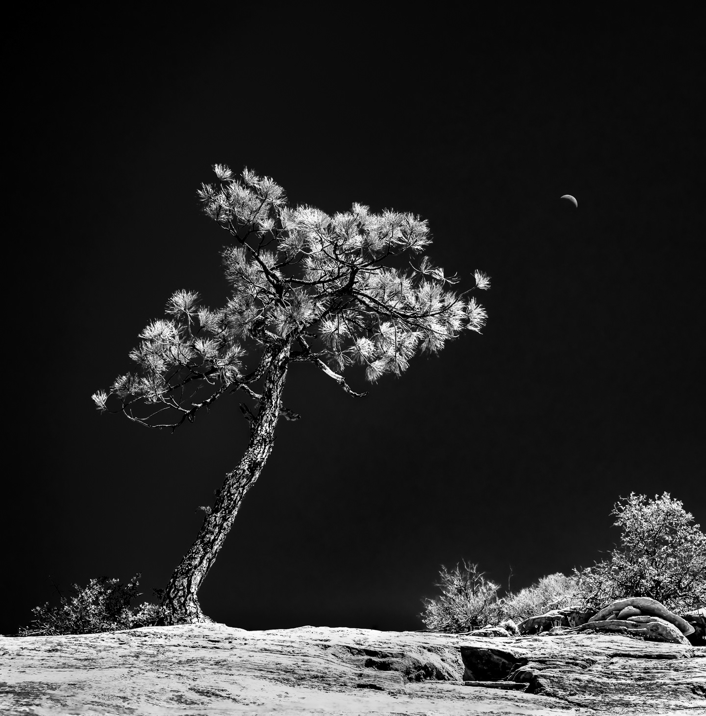 Zion