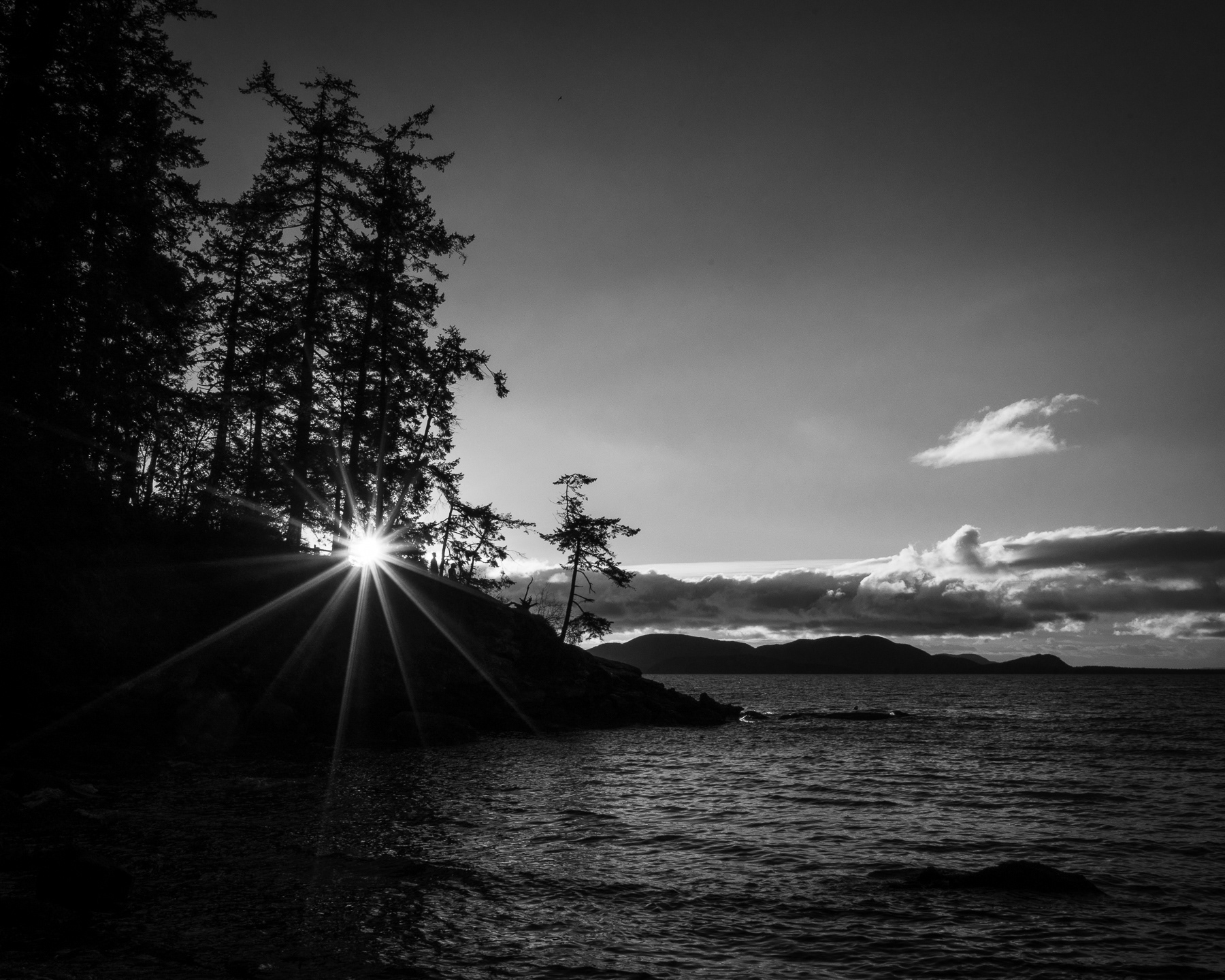 Wildcat Bay