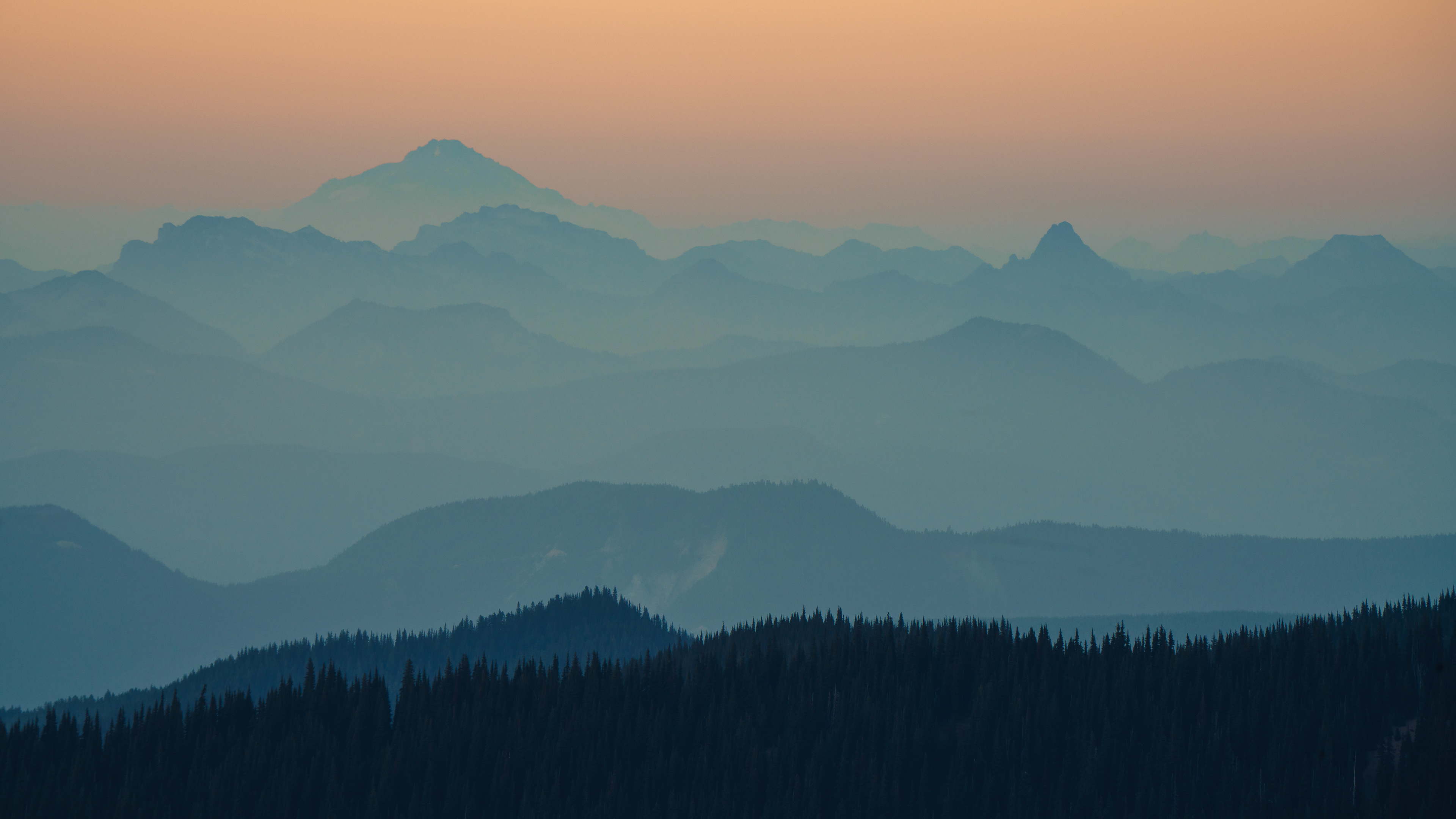 Mt. Baker in the Distance