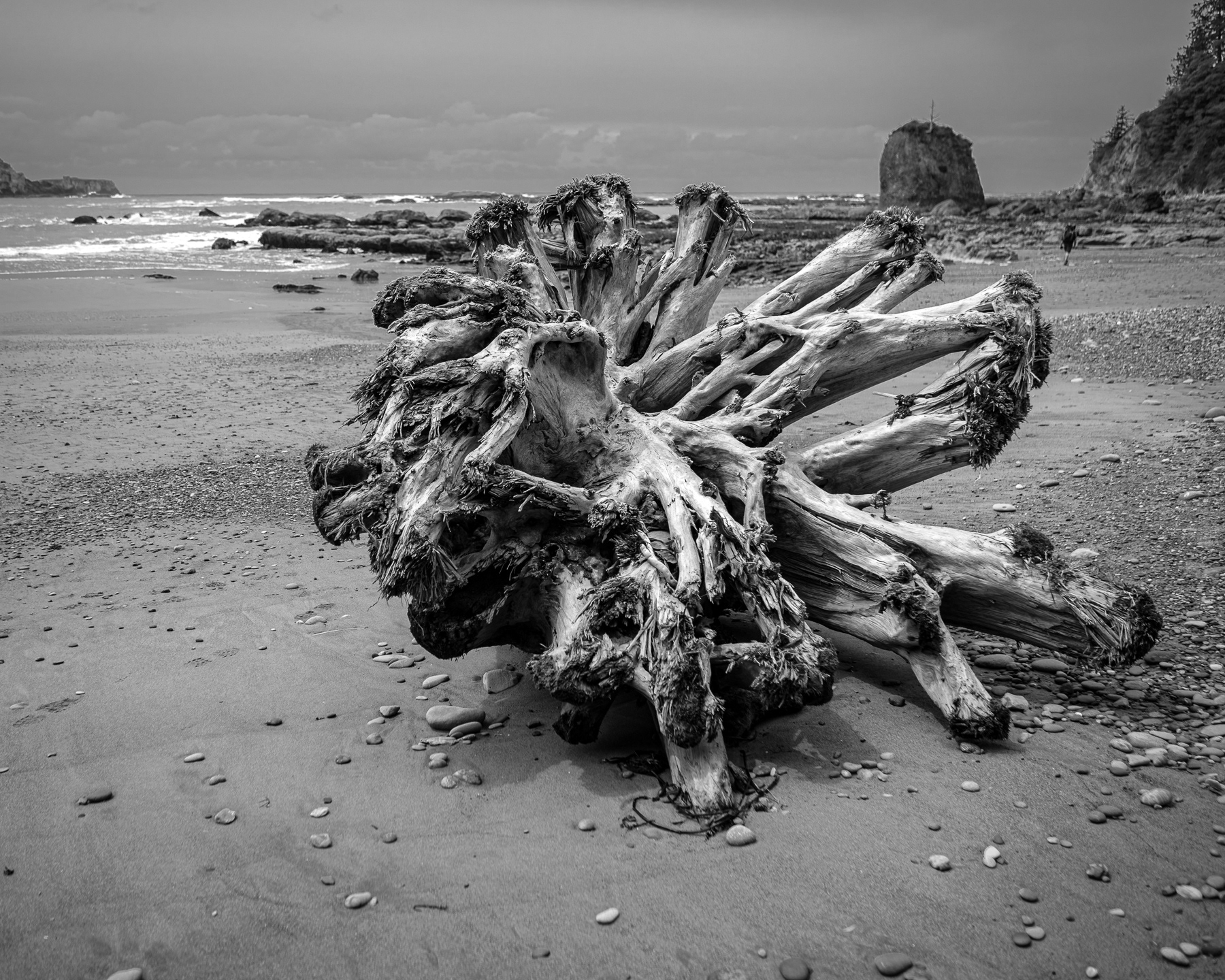 Rialto Beach