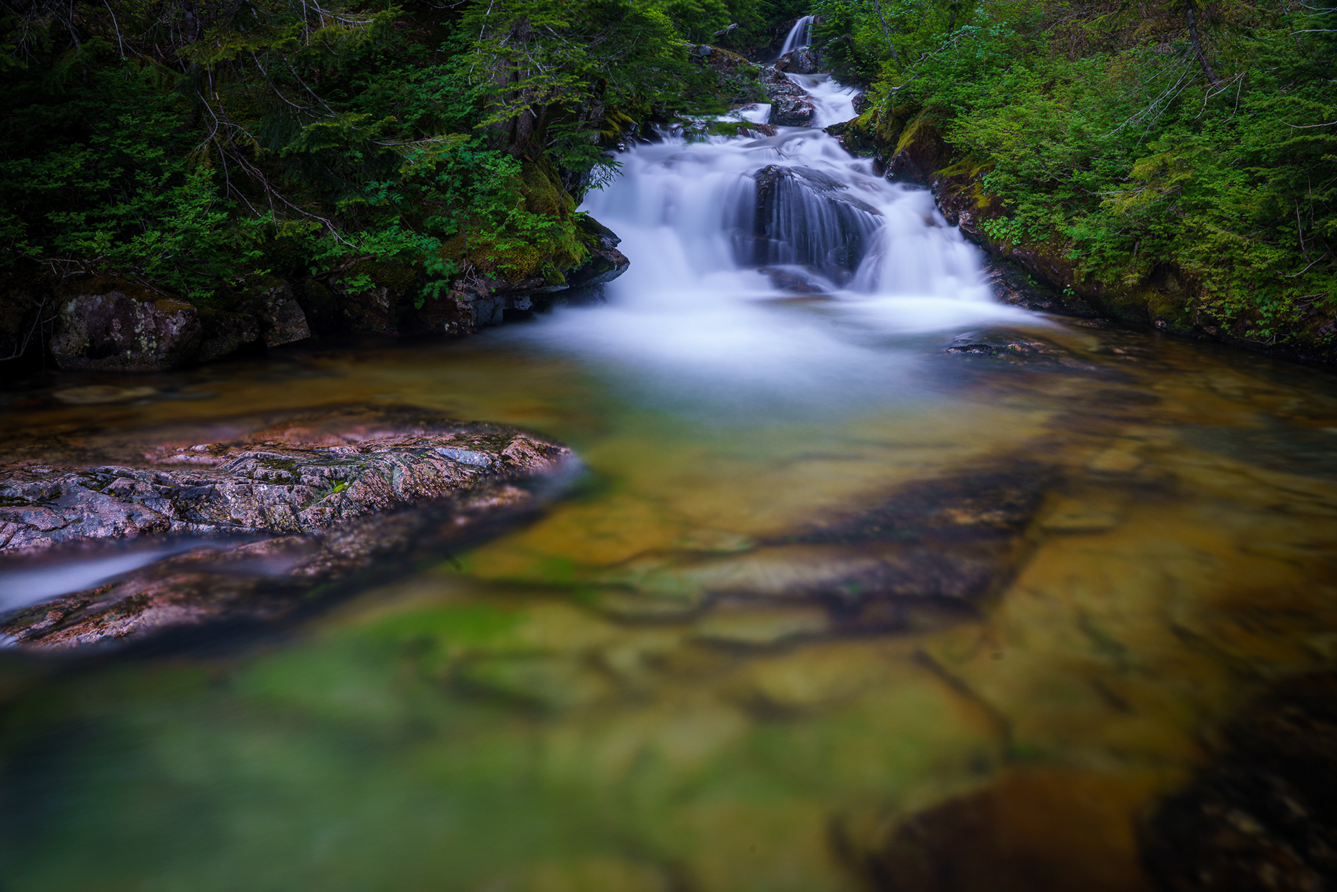 Commonwealth Creek