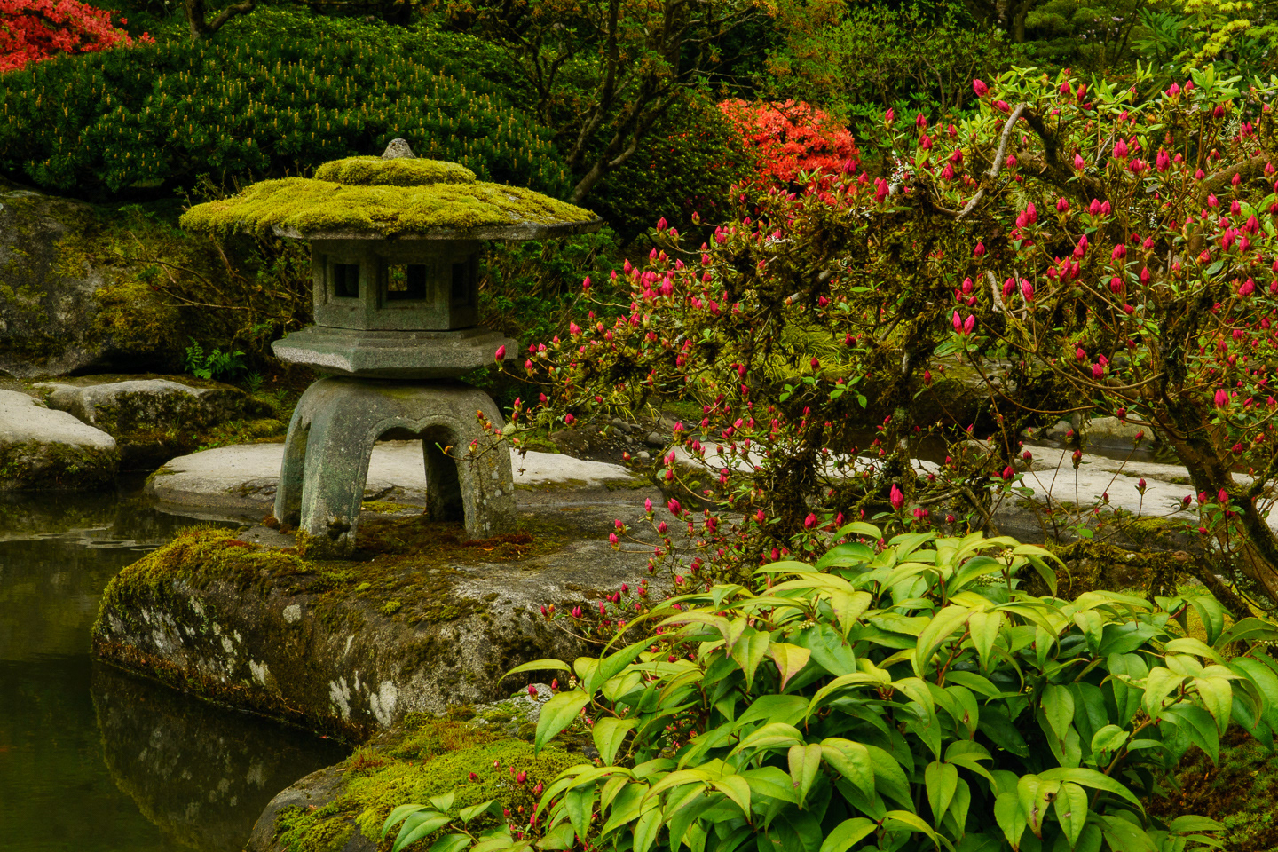 Japanese Garden