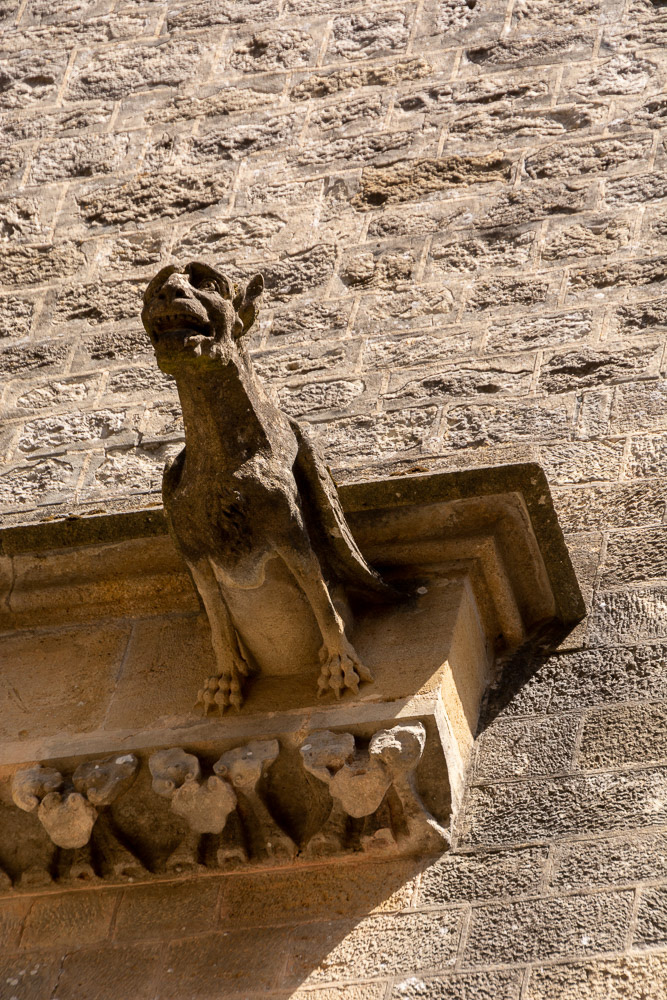 Gargoyle ugly.