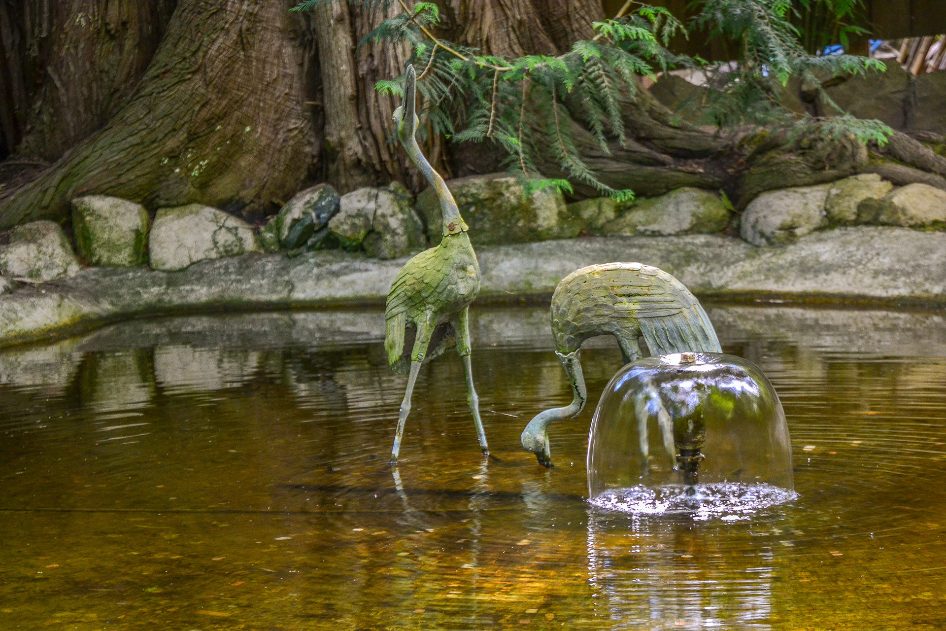 Bronze cranes in a pond, Butchart collected ornamental birds from all over the world