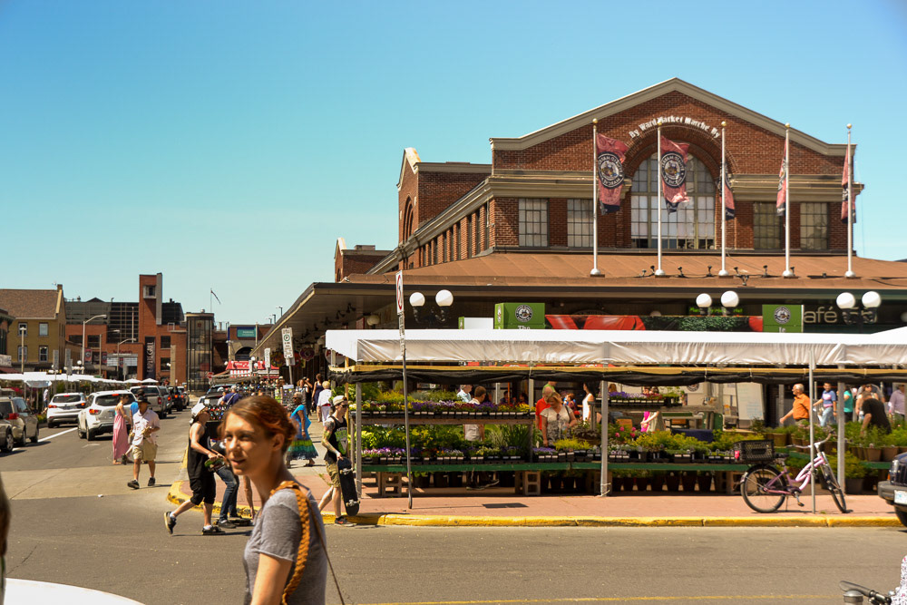 Visiting the downtown markets.
