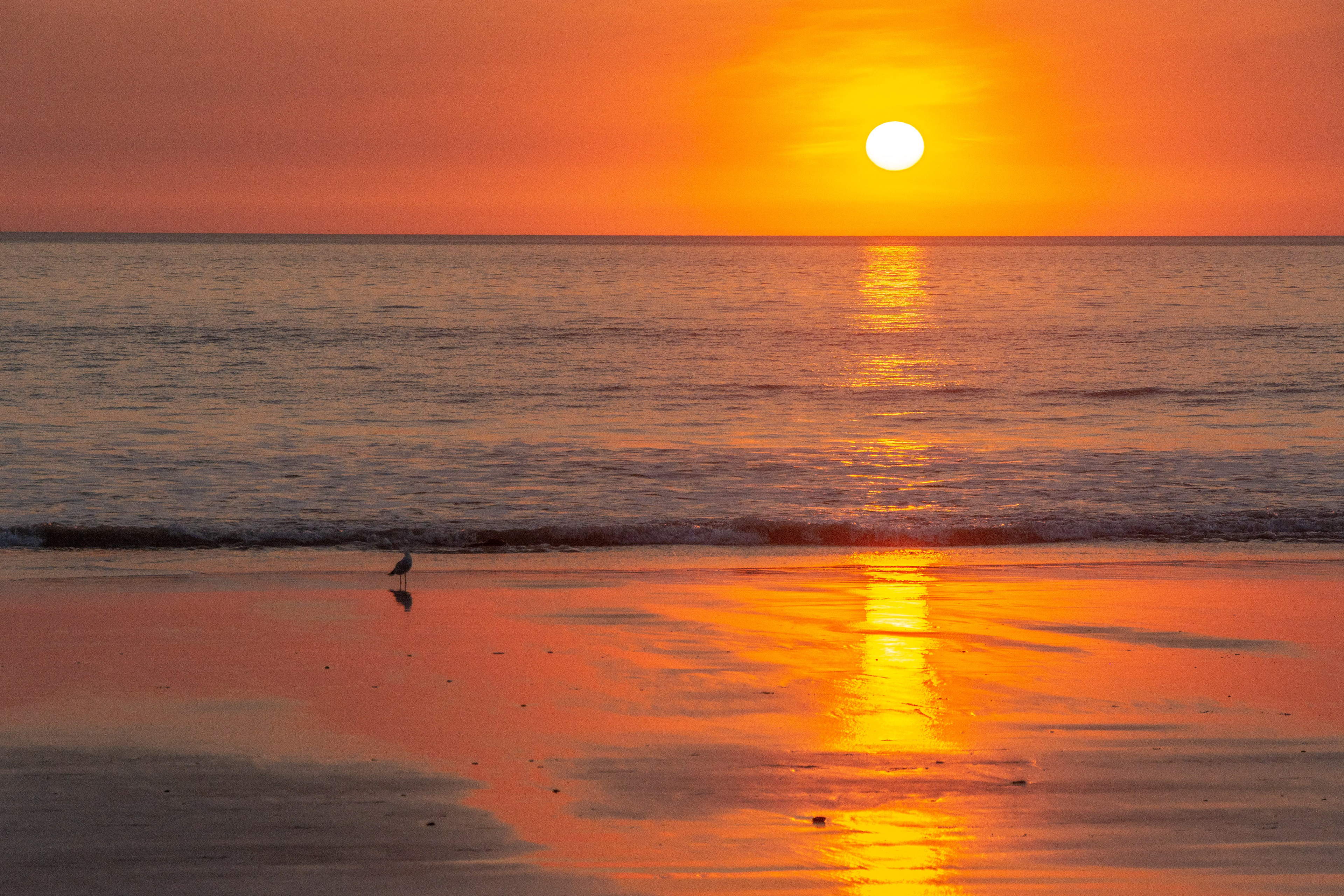 Cable Beach ........Golden hour sunset over the Indian Ocean