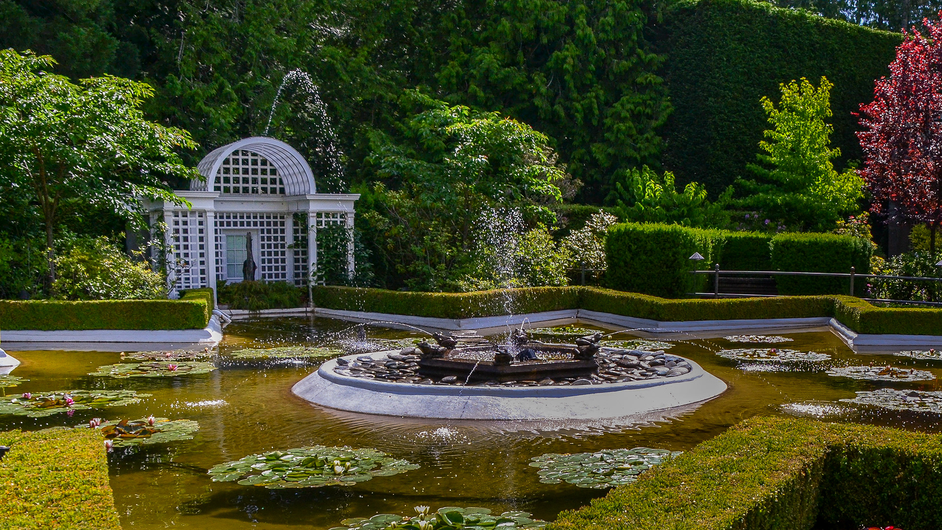 The Star Pond