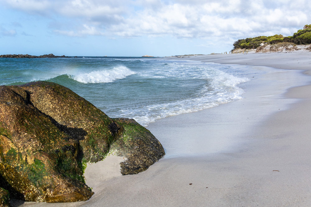 The pristine beach at Mt William National Park.