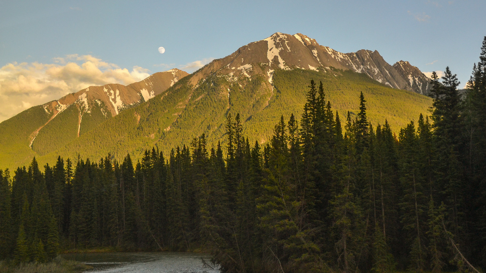 Sun drenched mountain and a full moon above, a spectacular background to shaded forests.