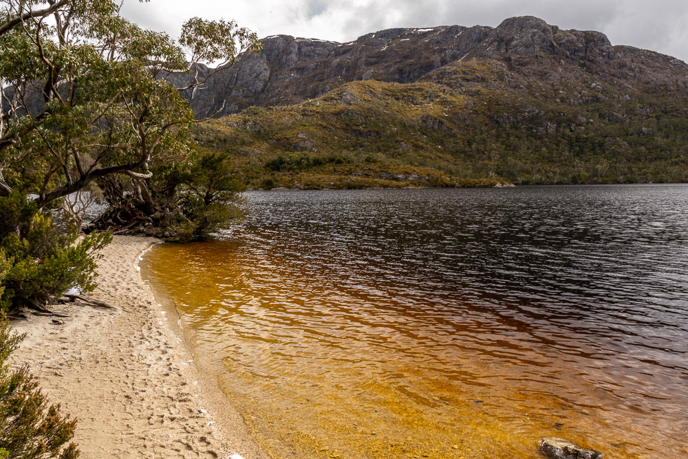 A well-trodden beach at Dove Lake.