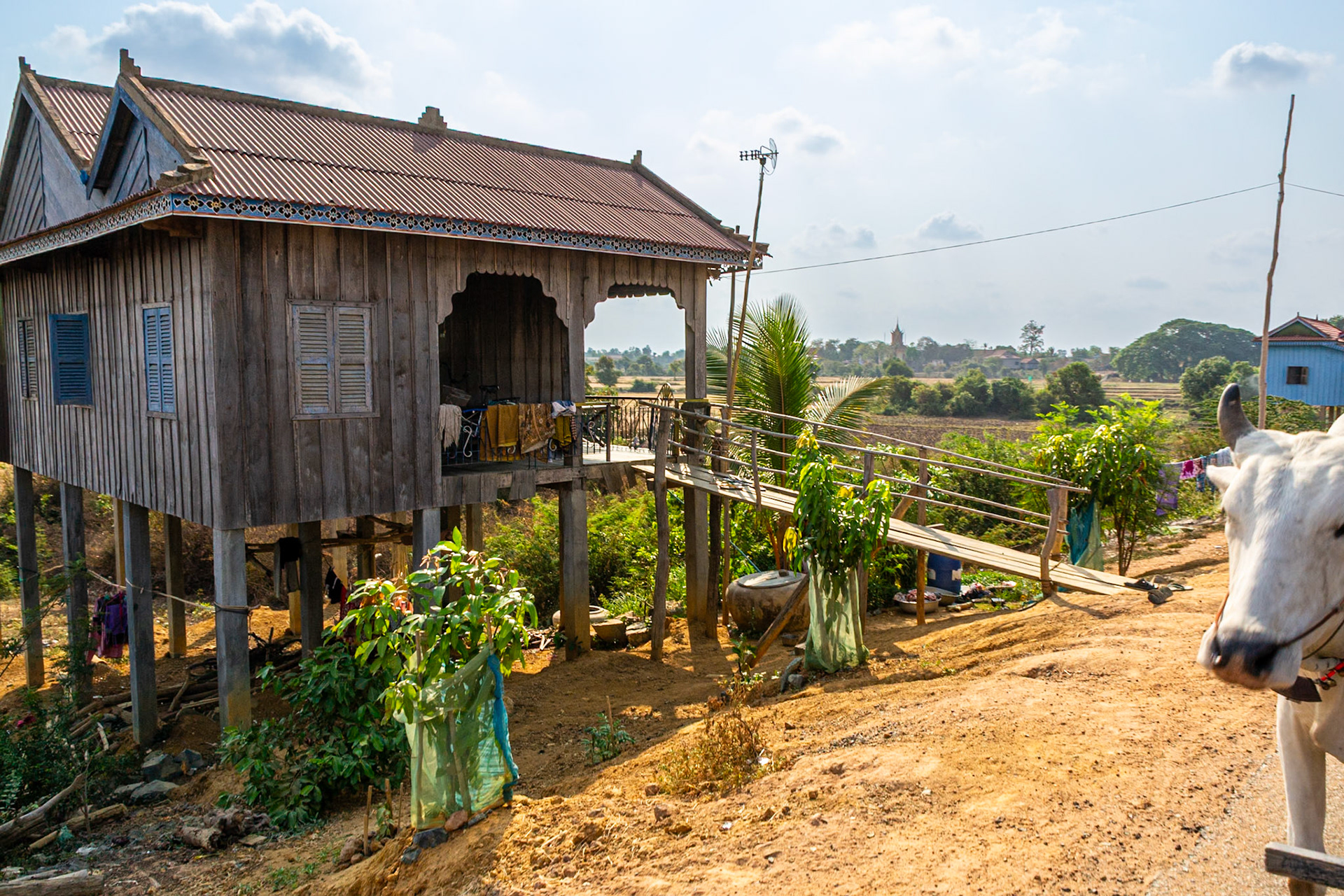 Homes reflect the extreme poverty of the country.