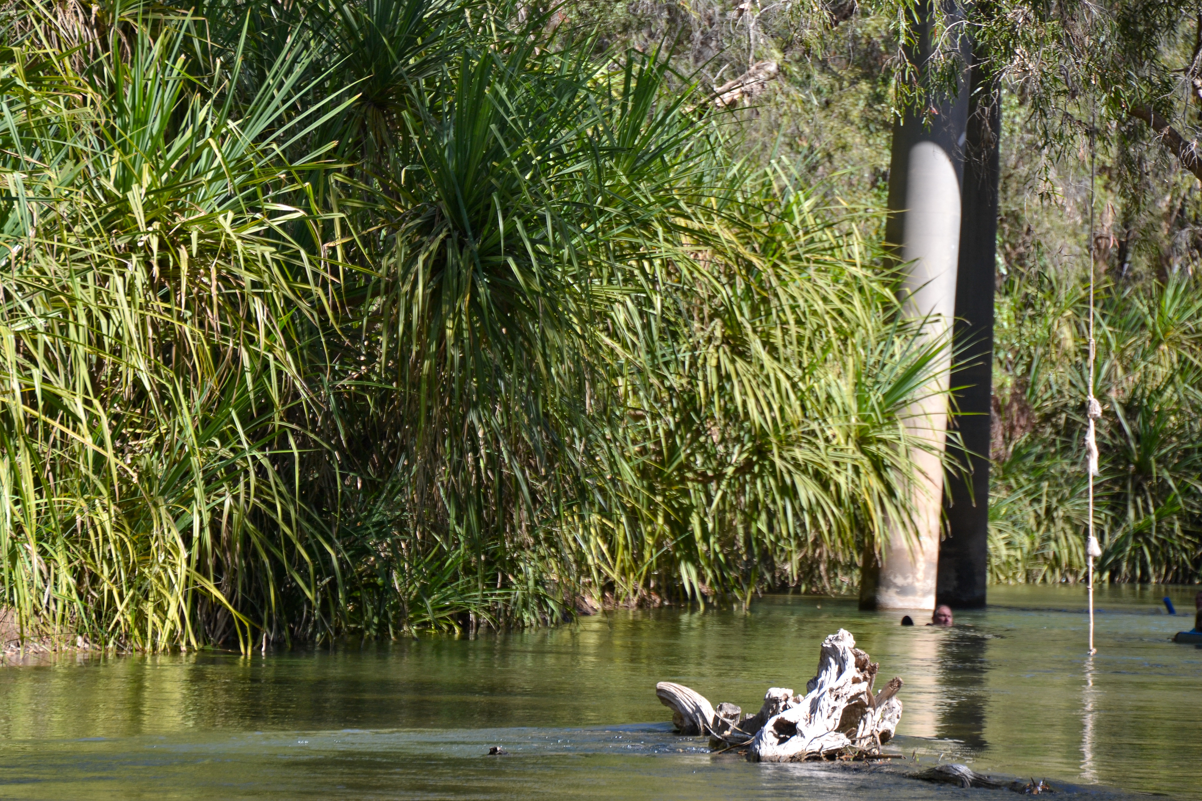 An ideal way of passing time, floating downstream in the cool clear waters of the Gregory River.