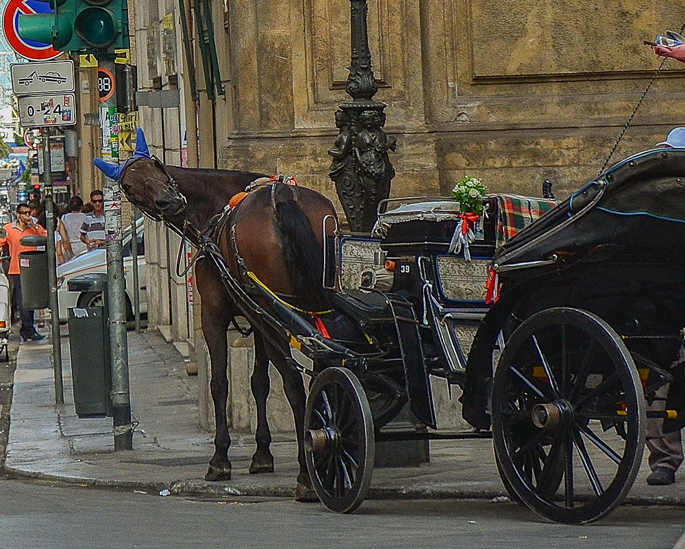....... or if you prefer more horse power.