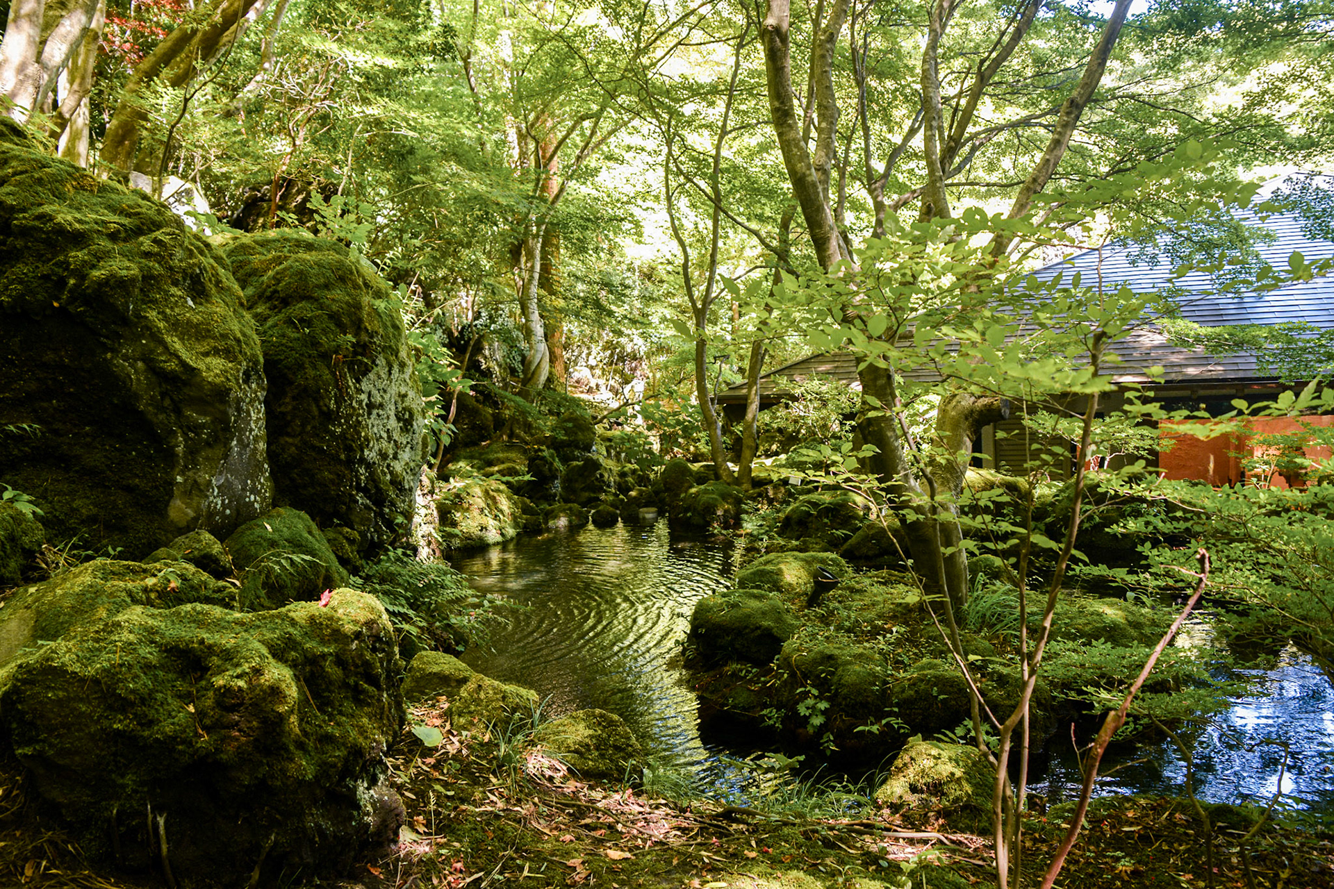 Itchikyu Kubota Museum buildings are discretely nestled within the landscaped gardens.