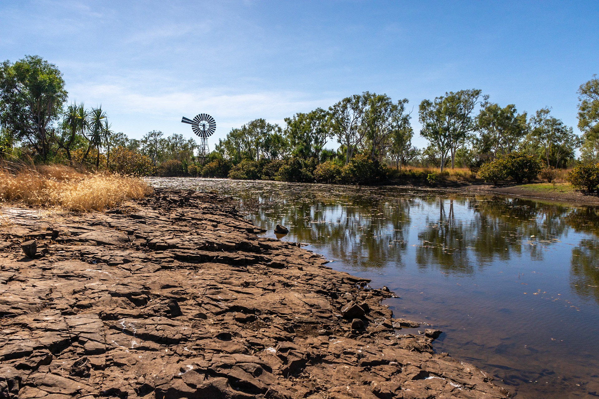 Keep River ......... Cockatoo Lagoon looking north....in the foreground bottom right you might see a water python on the edge