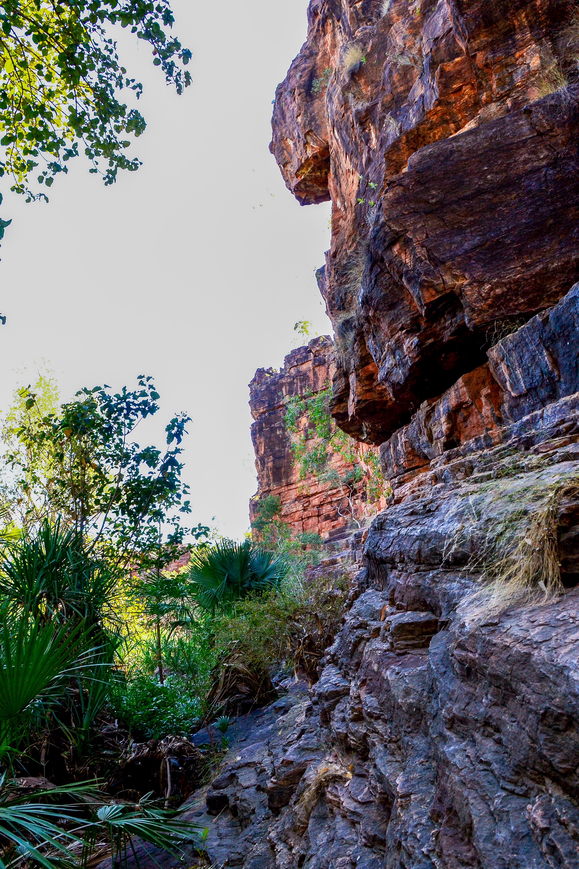 Lawn Hill Gorge escarpment.