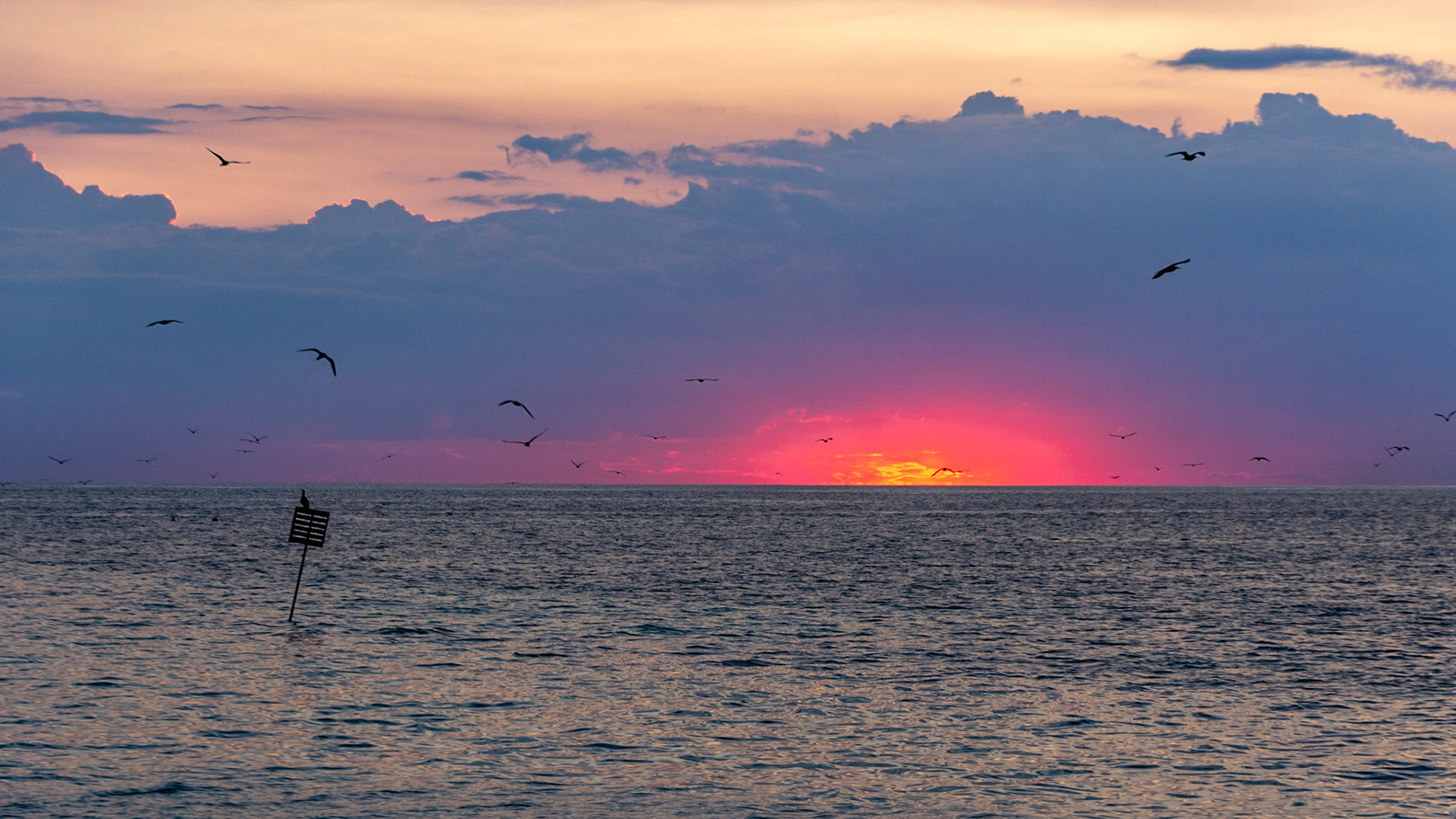 Pink and grey hues light the horizon as the last golden rays sink into the ocean.