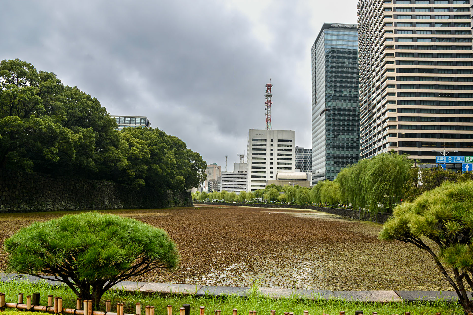 Edo Castle's moat surrounded by high-rise buildings.