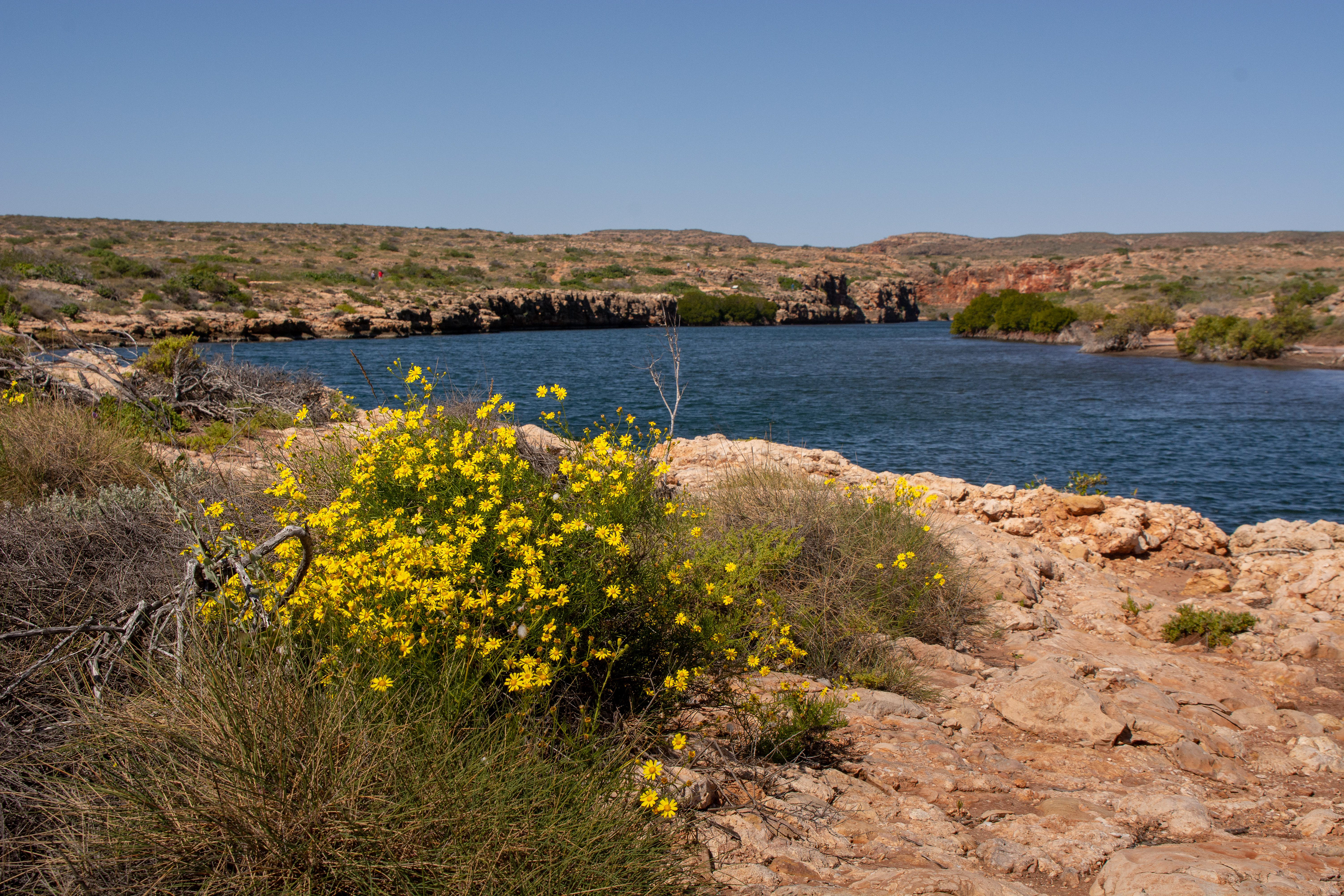 Located in Cape Range National Park, Yardie Ck winds through the ranges leading from the turquoise waters of the Ningaloo Marine Park.