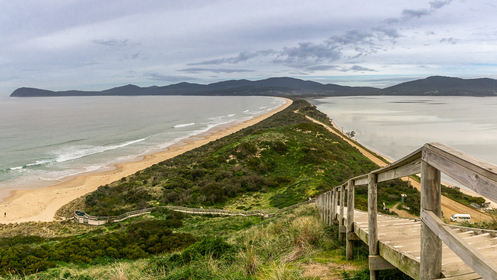 The Neck, Bruny Island.