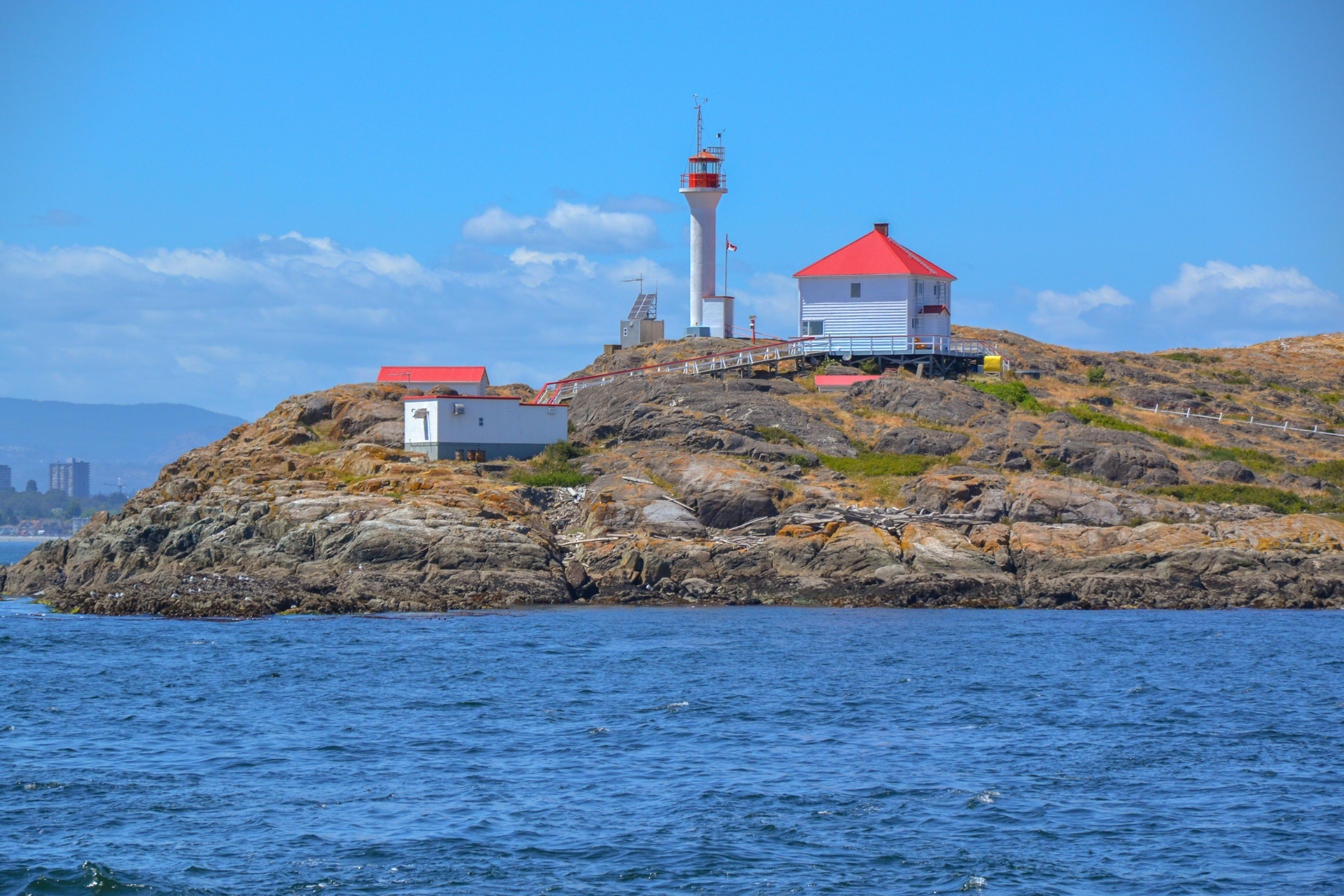 We pass Trial Island lighthouse on our way to seek out the resident pods of Orca.