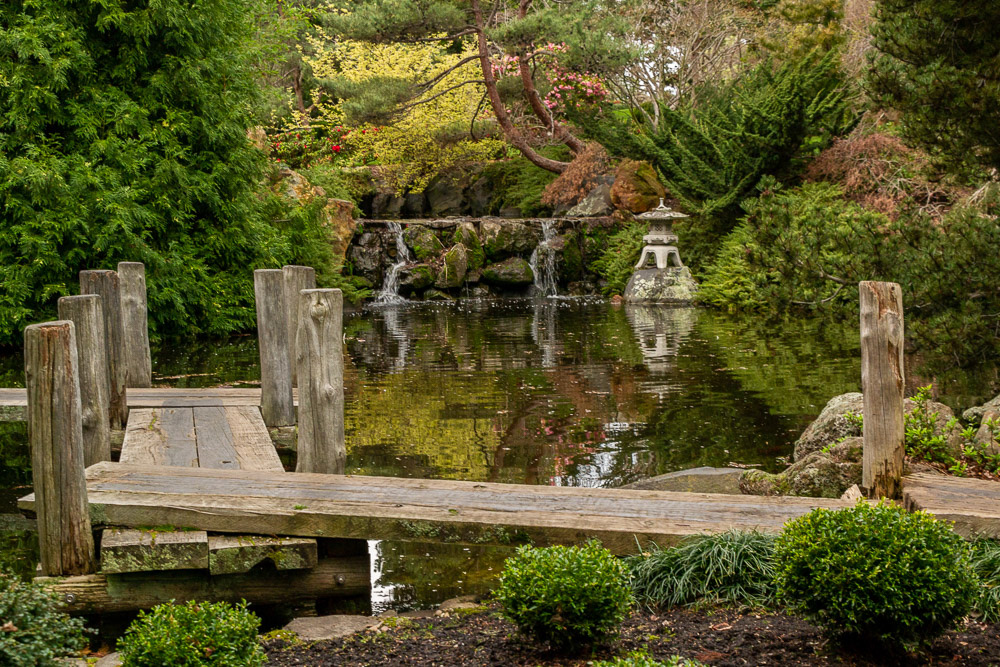 Pond reflections enhance the lanscape...