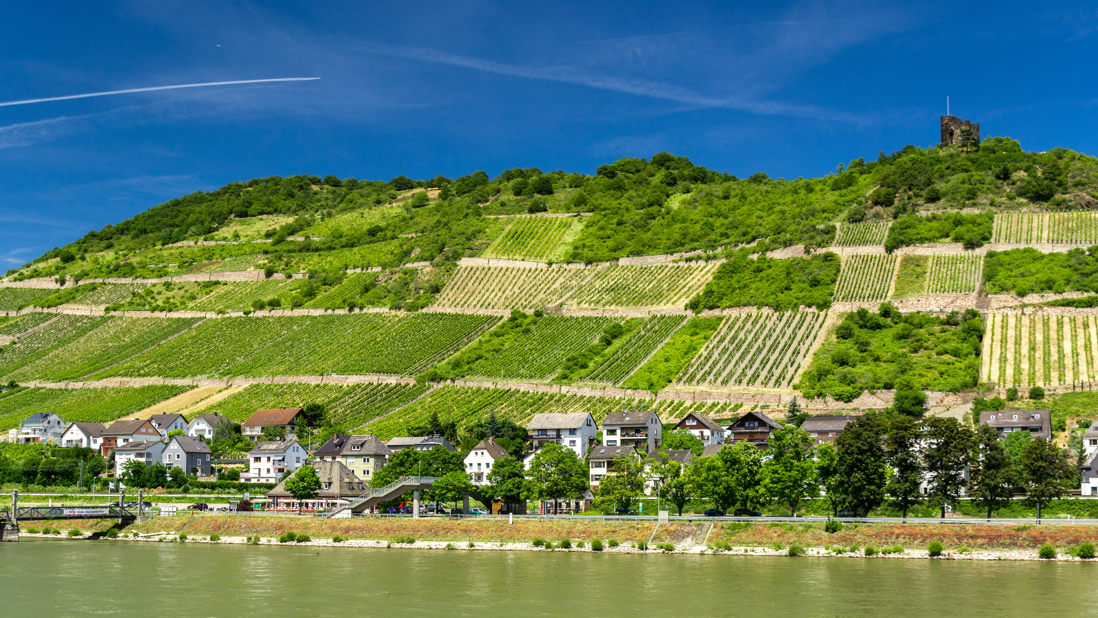 Vineyards create an attractive patchwork along the hills of the Rhine. The area is famous for its Reisling.